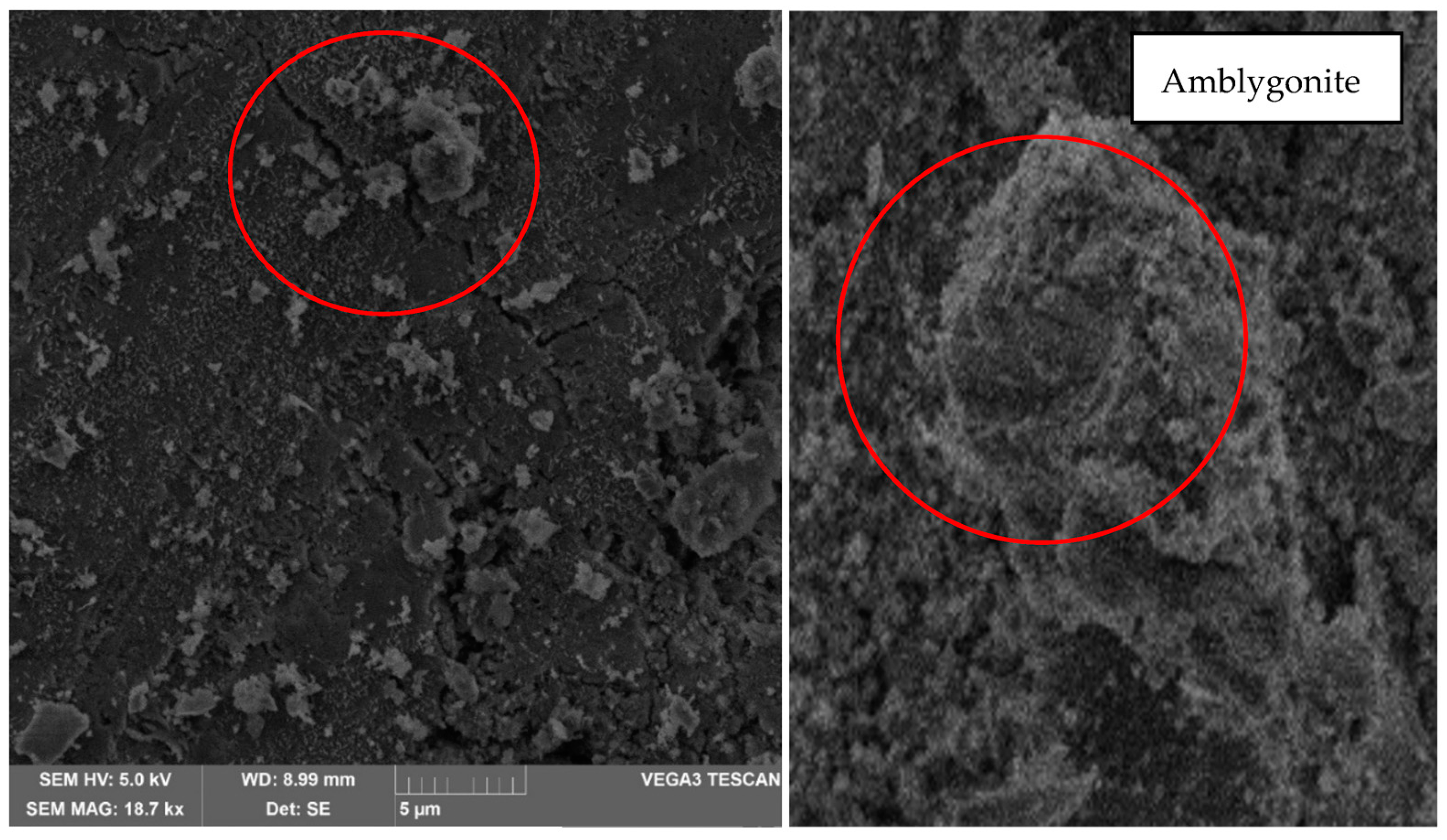 Materials 17 00307 g011