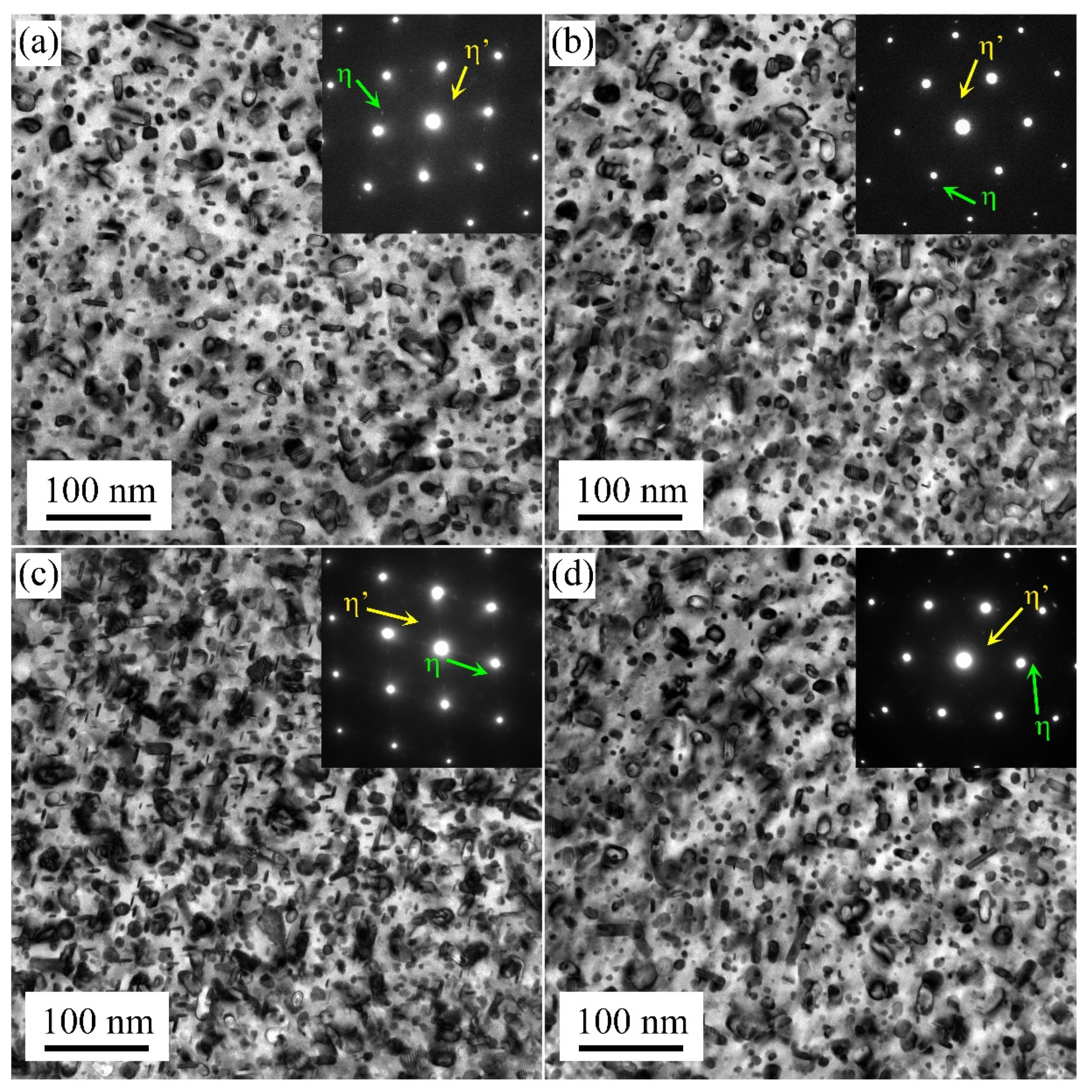 Materials 17 00310 g005