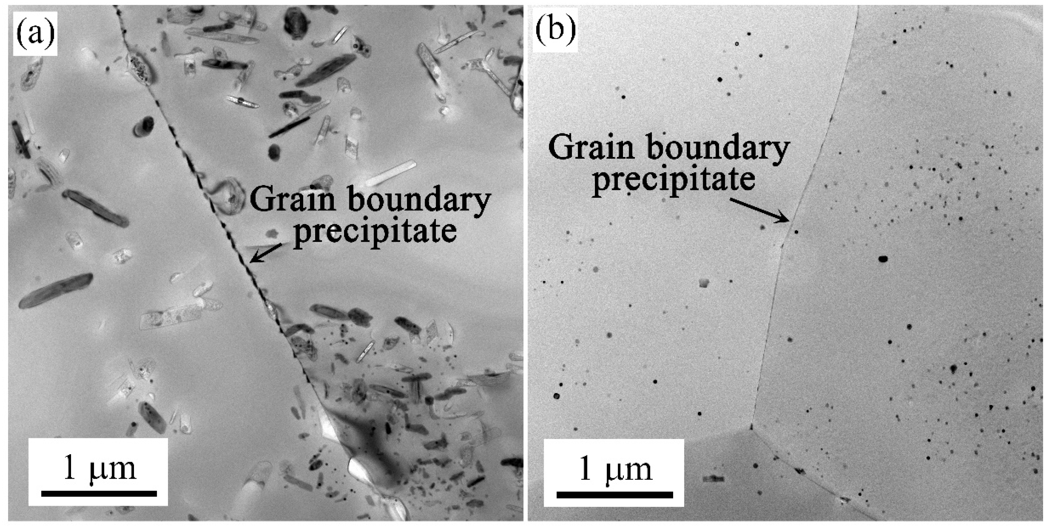 Materials 17 00310 g009
