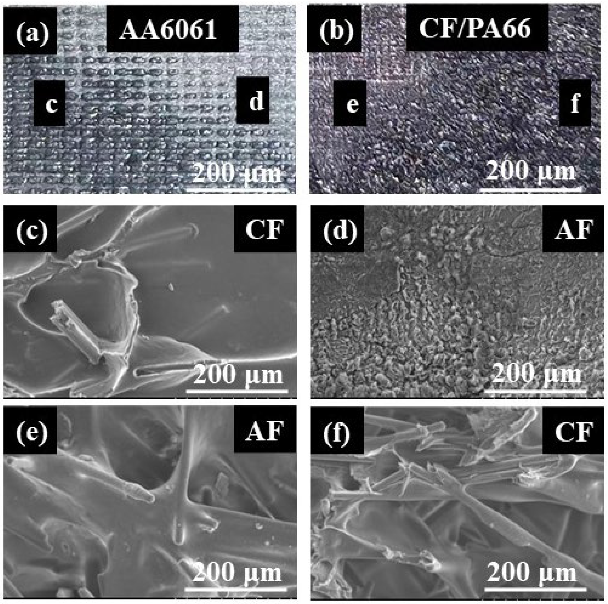 Materials 17 00329 g019