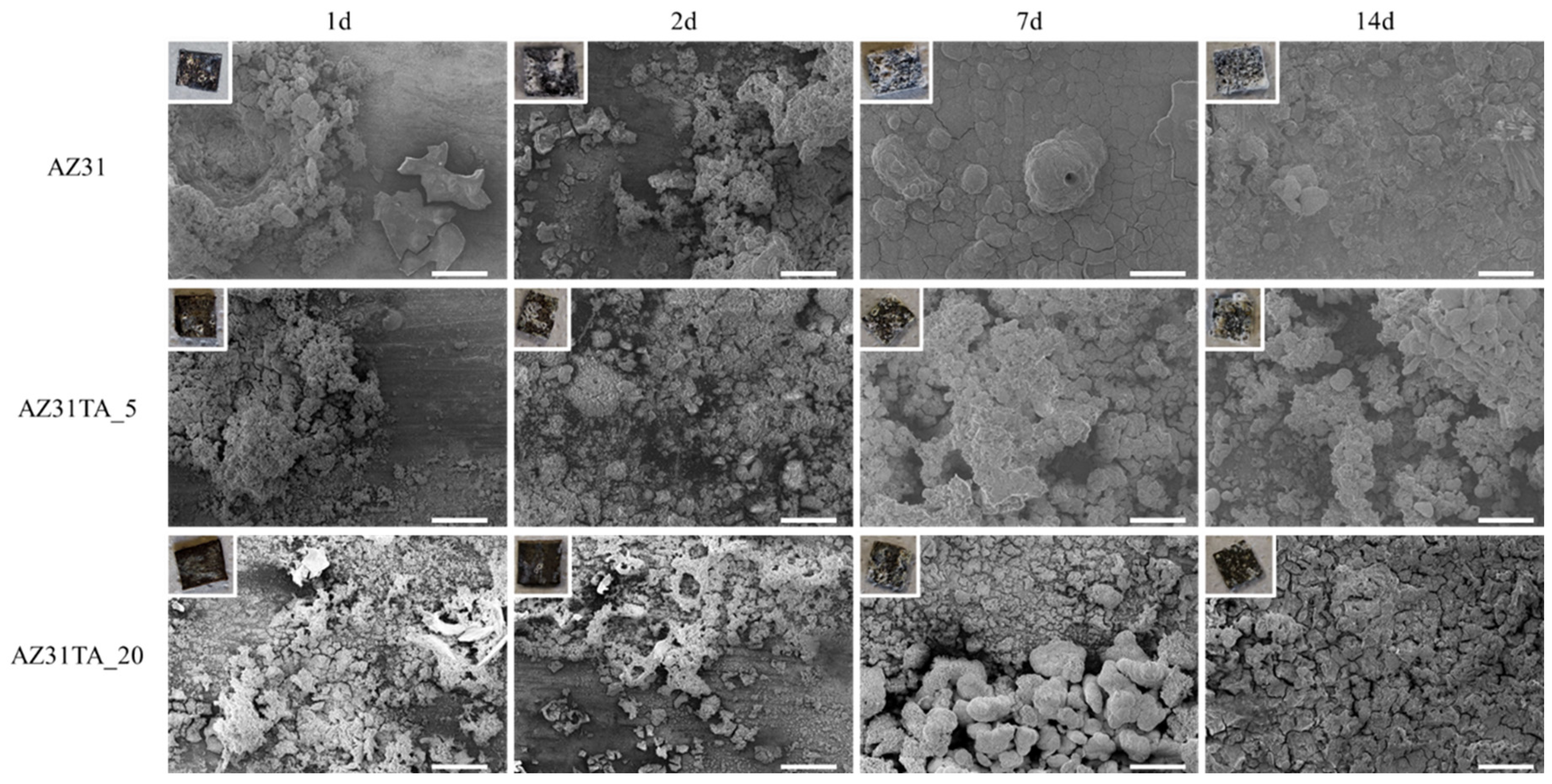 Materials 17 00343 g003