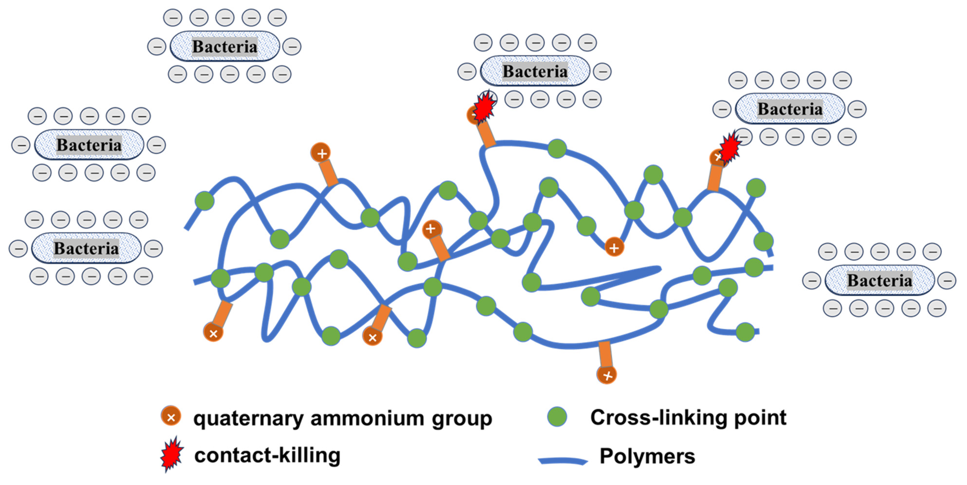 Materials 17 00345 g003