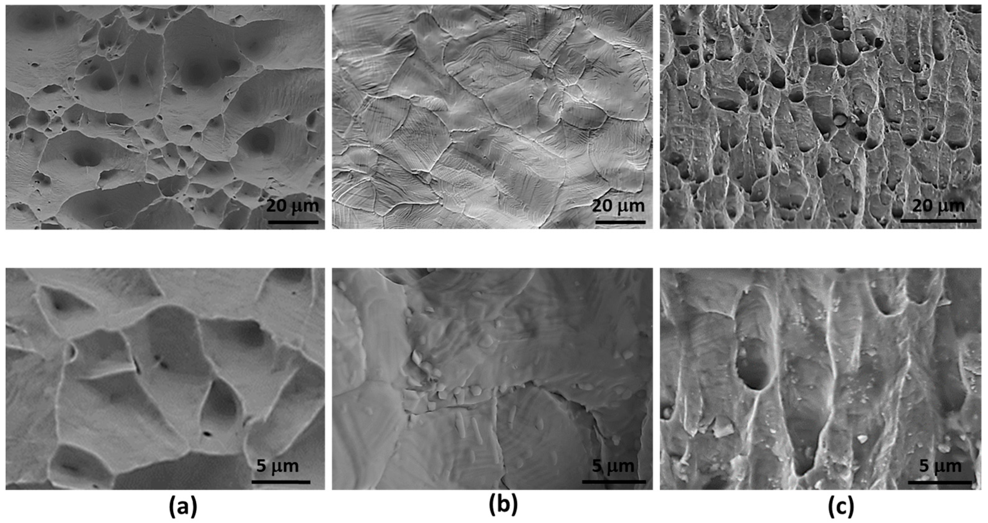 Materials 17 00350 g008 Materials 17 00350 g008