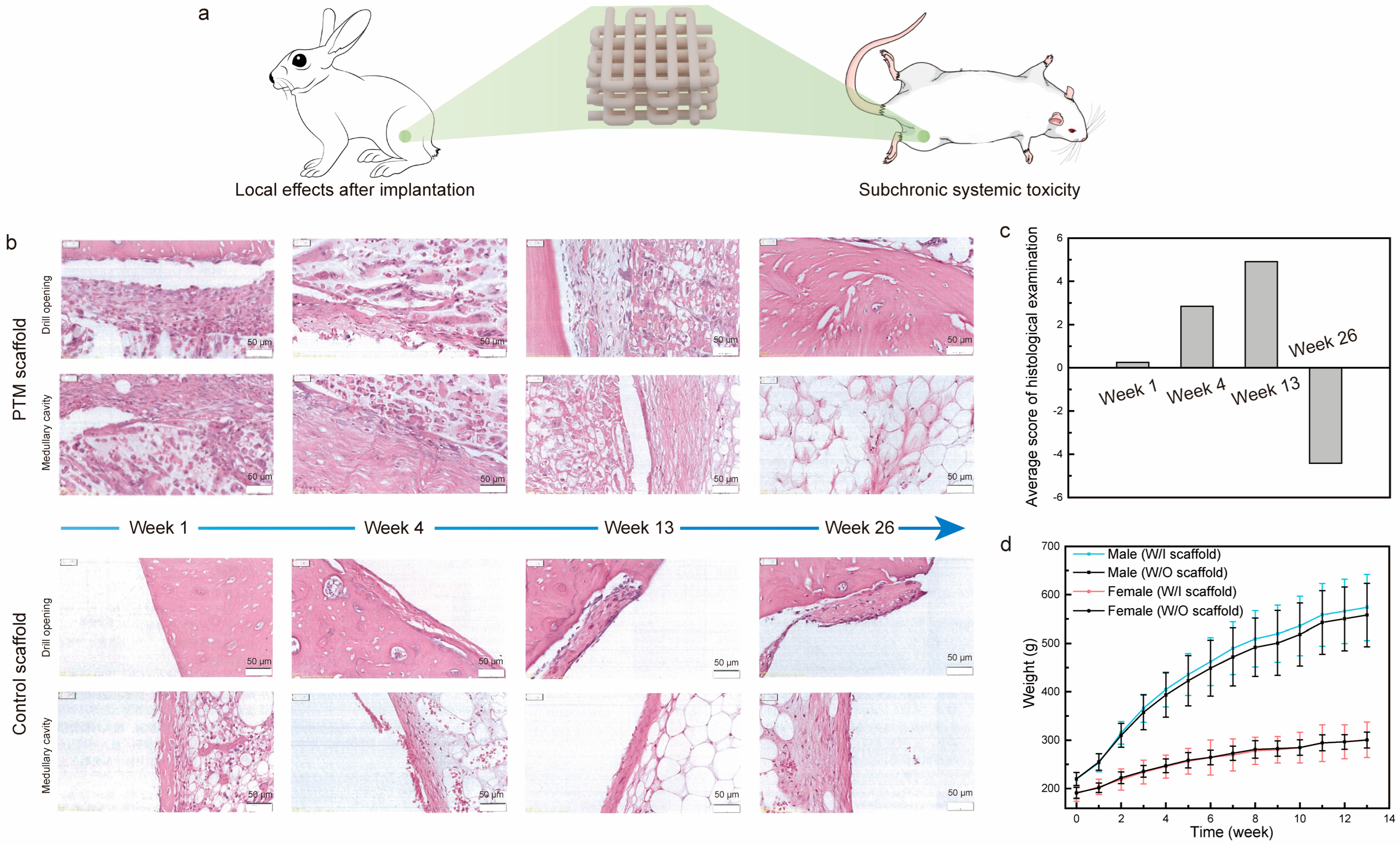 Materials 17 00352 g003