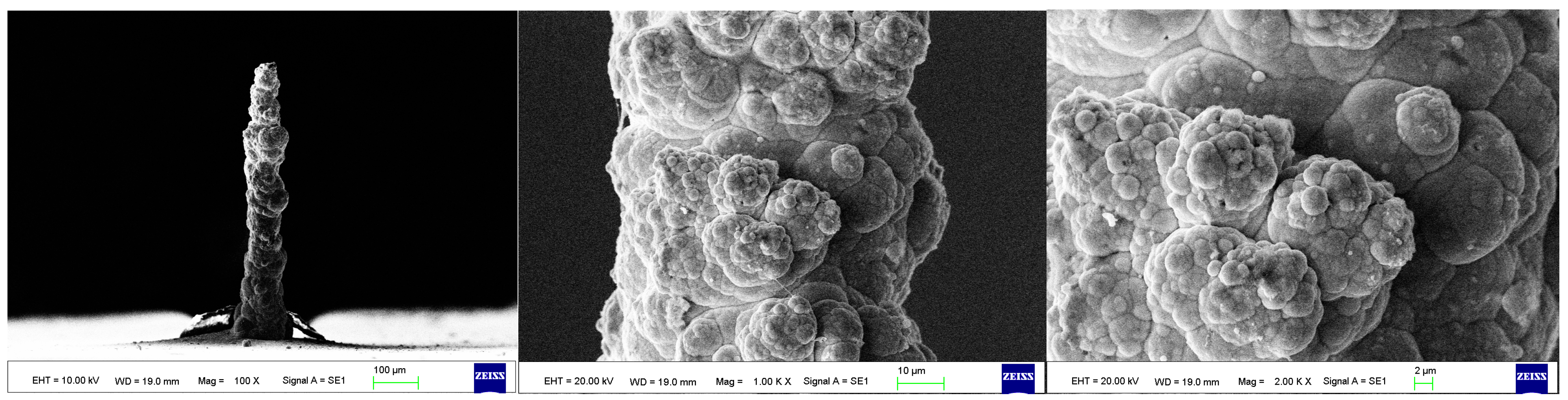 Materials 17 00386 g006