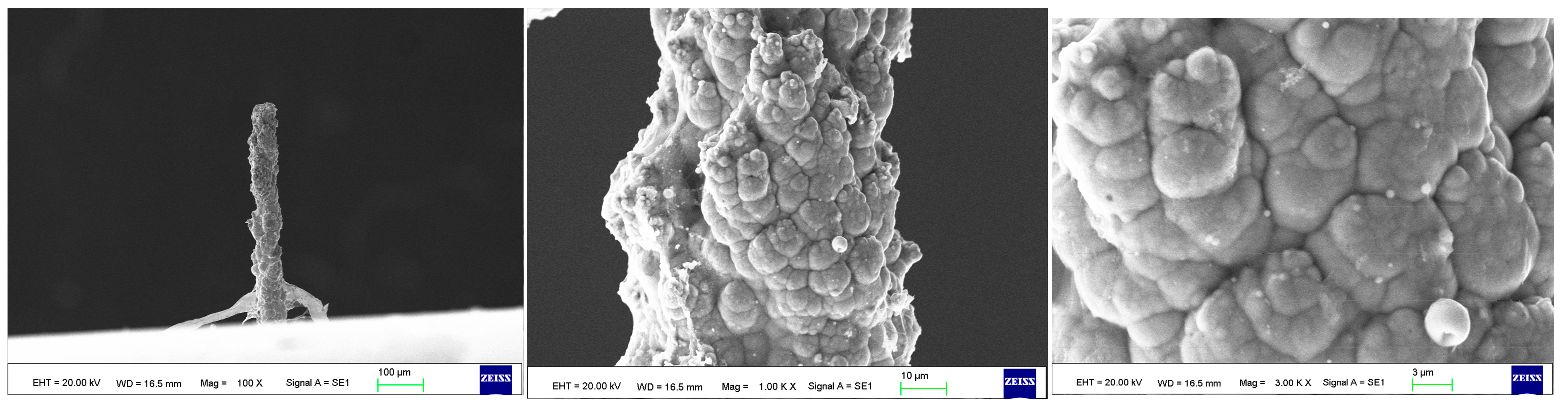 Materials 17 00386 g008