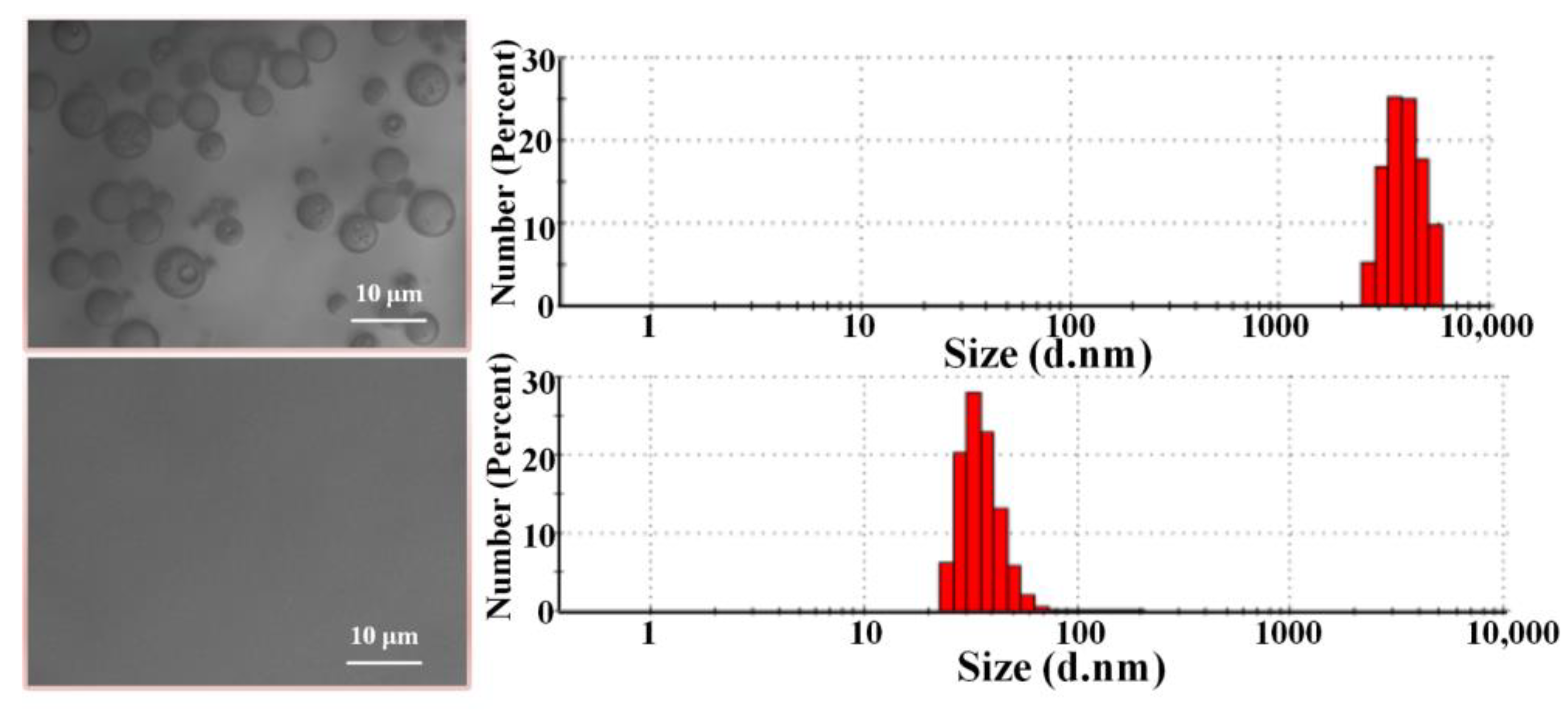 Materials 17 00417 g008