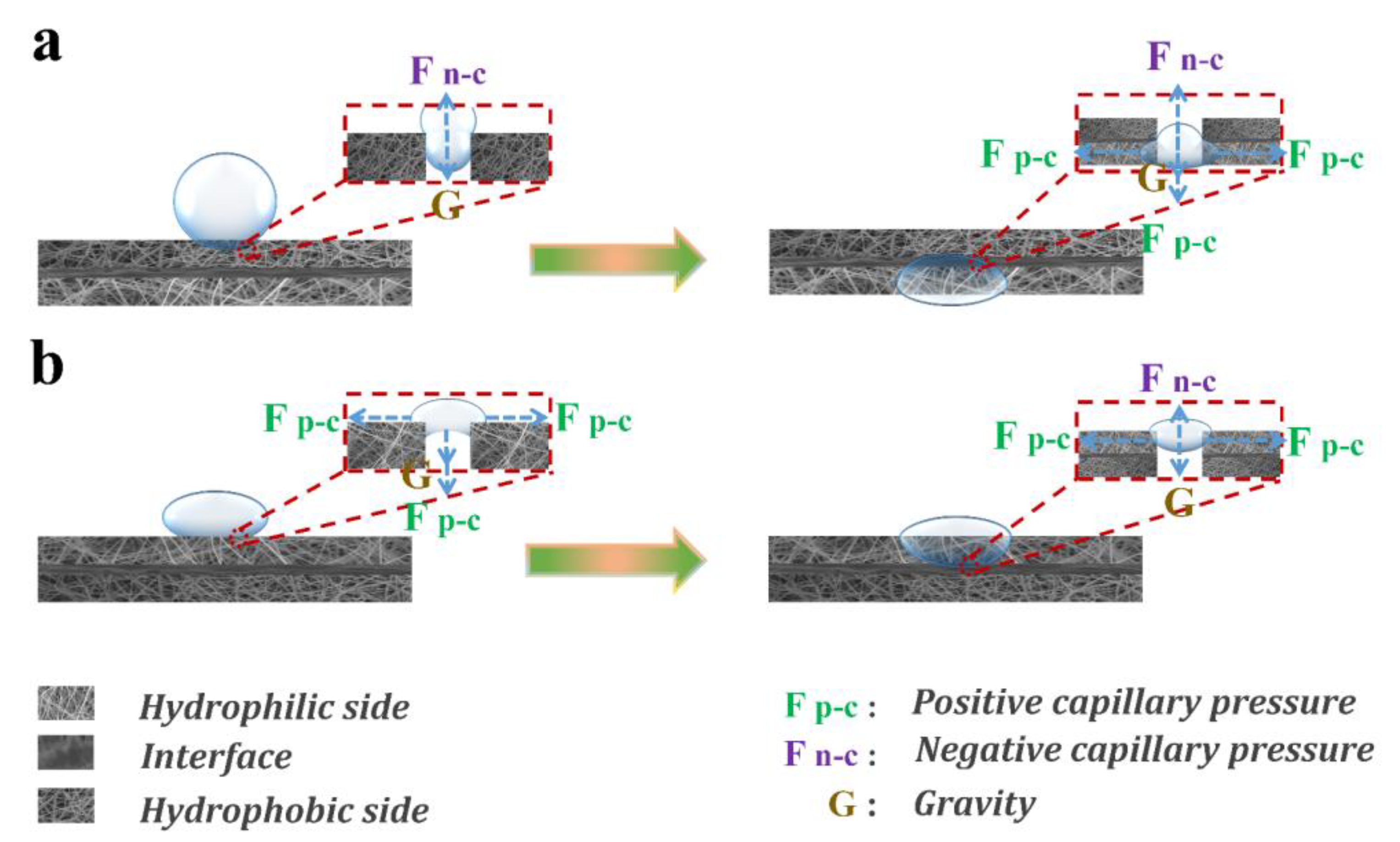Materials 17 00417 g009