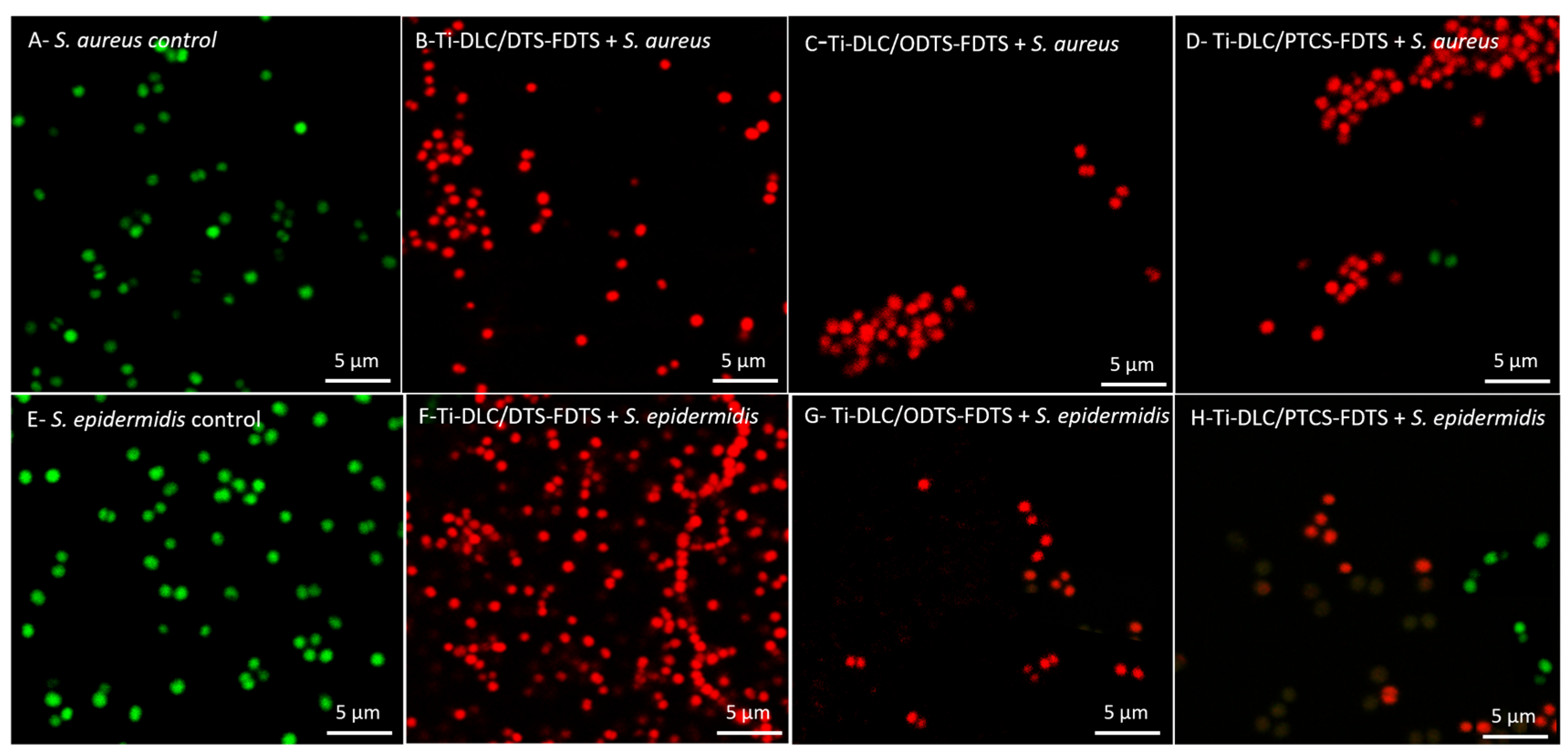 Materials 17 00422 g009