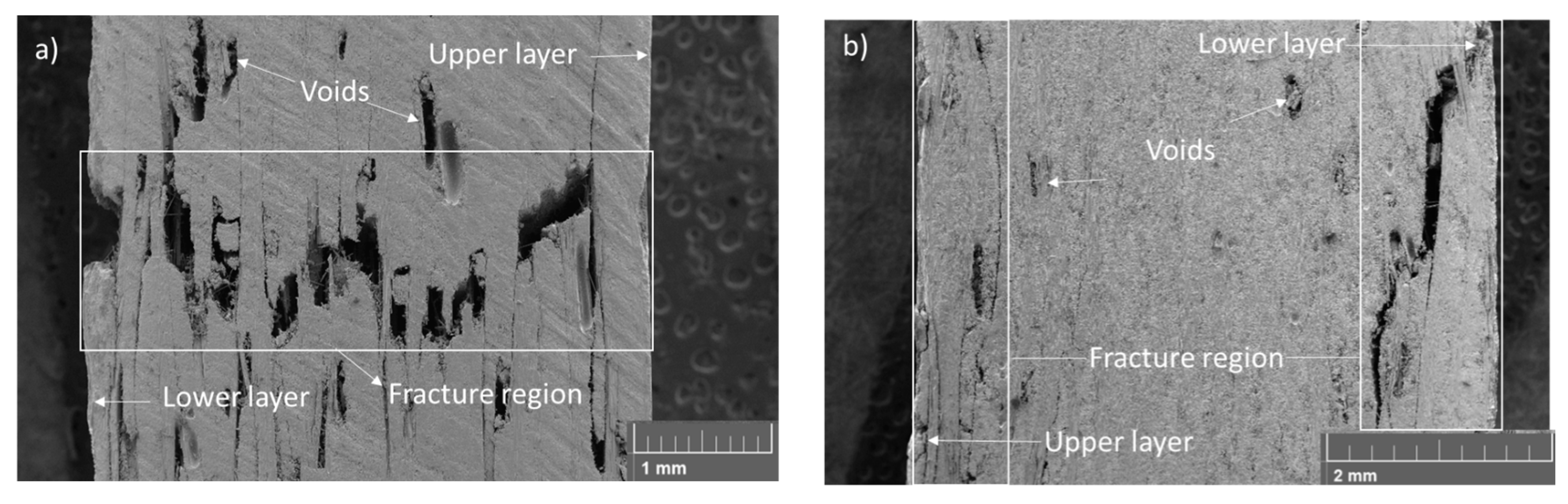 Materials 17 00423 g005