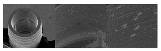 Materials 17 00434 g017