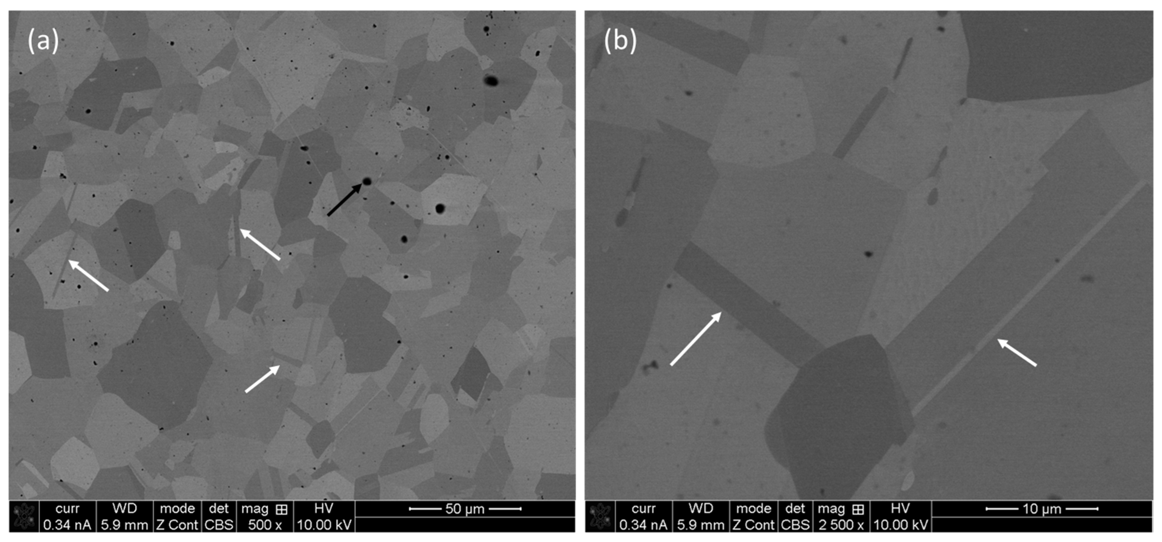 Materials 17 00439 g004