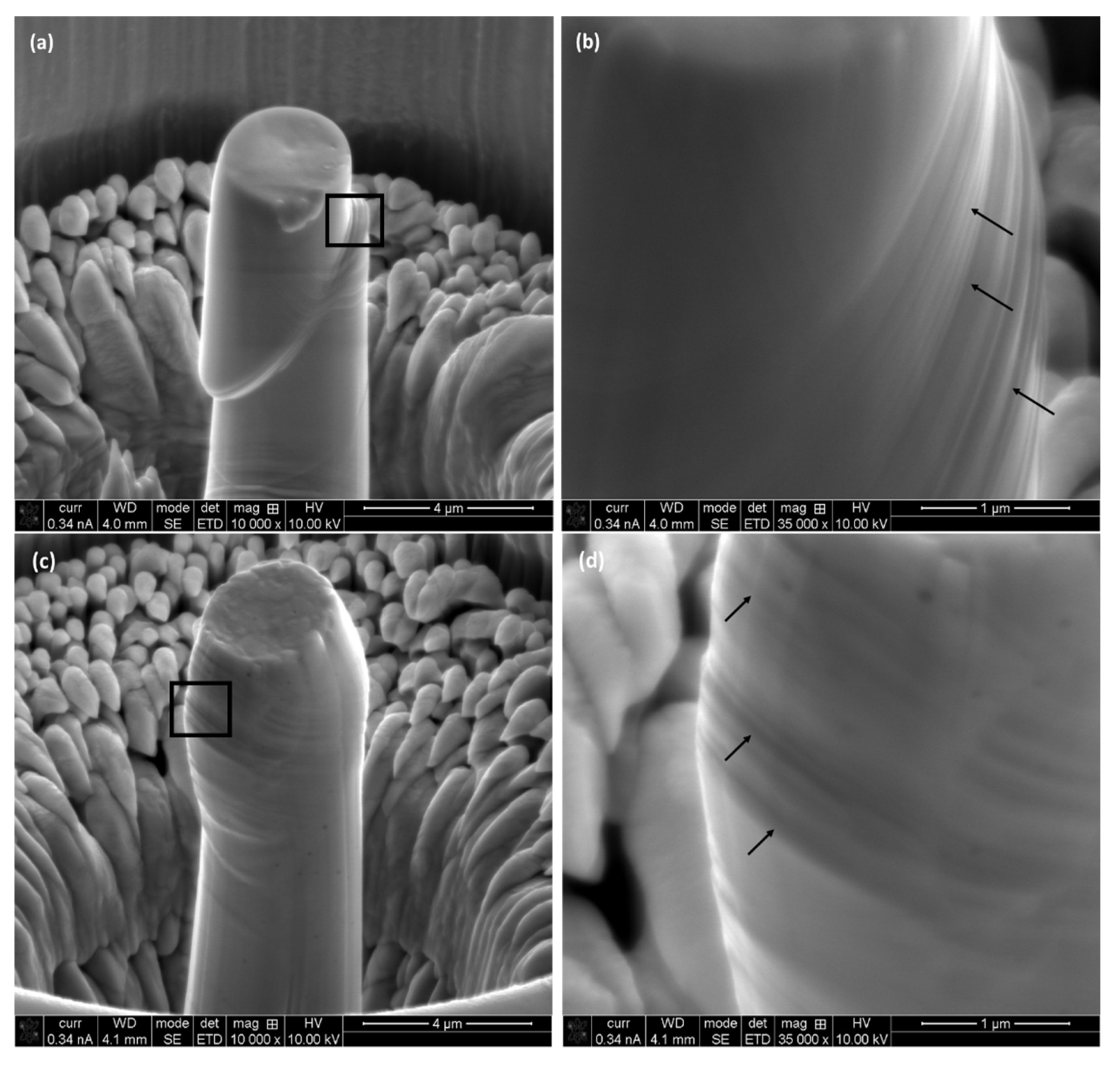 Materials 17 00439 g009a