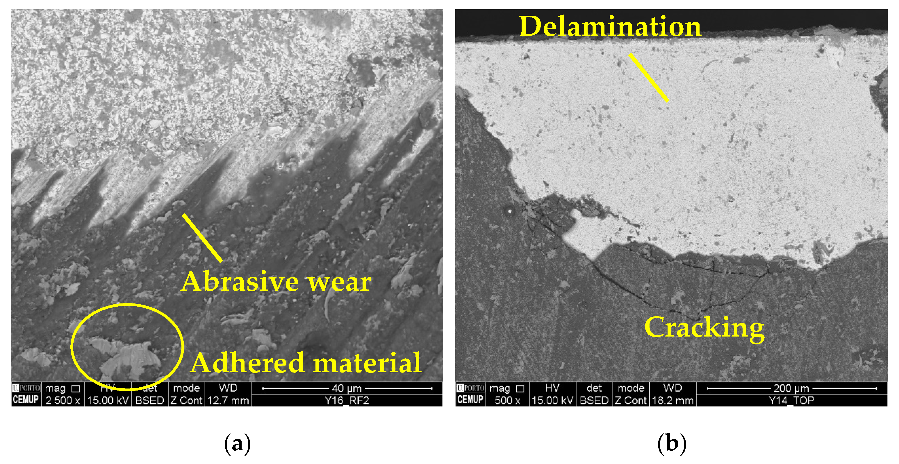 Materials 17 00443 g008