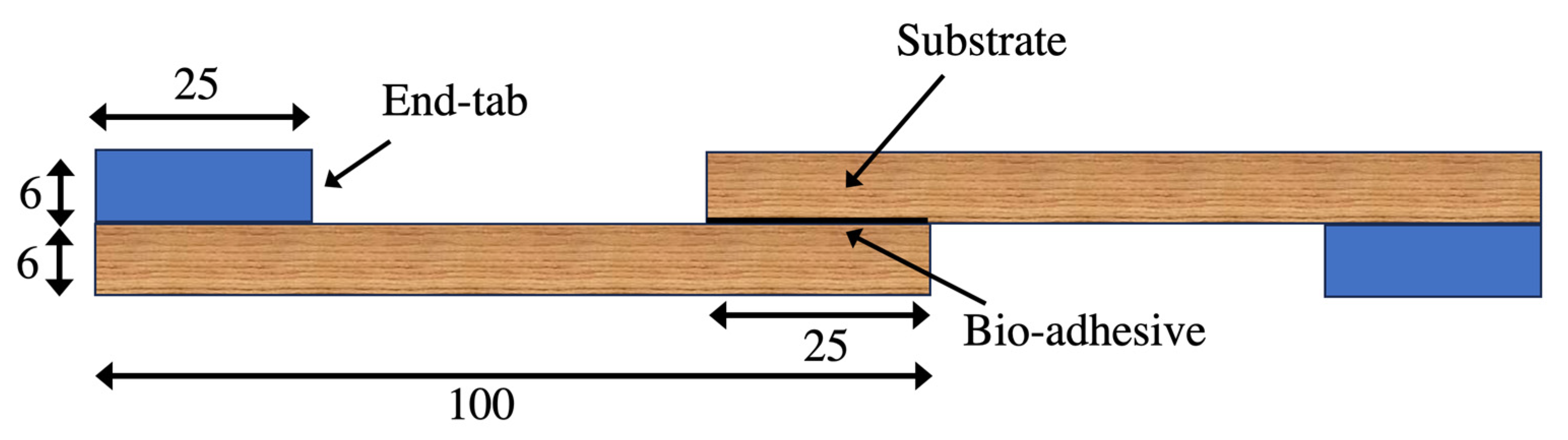 Materials 17 00448 g005