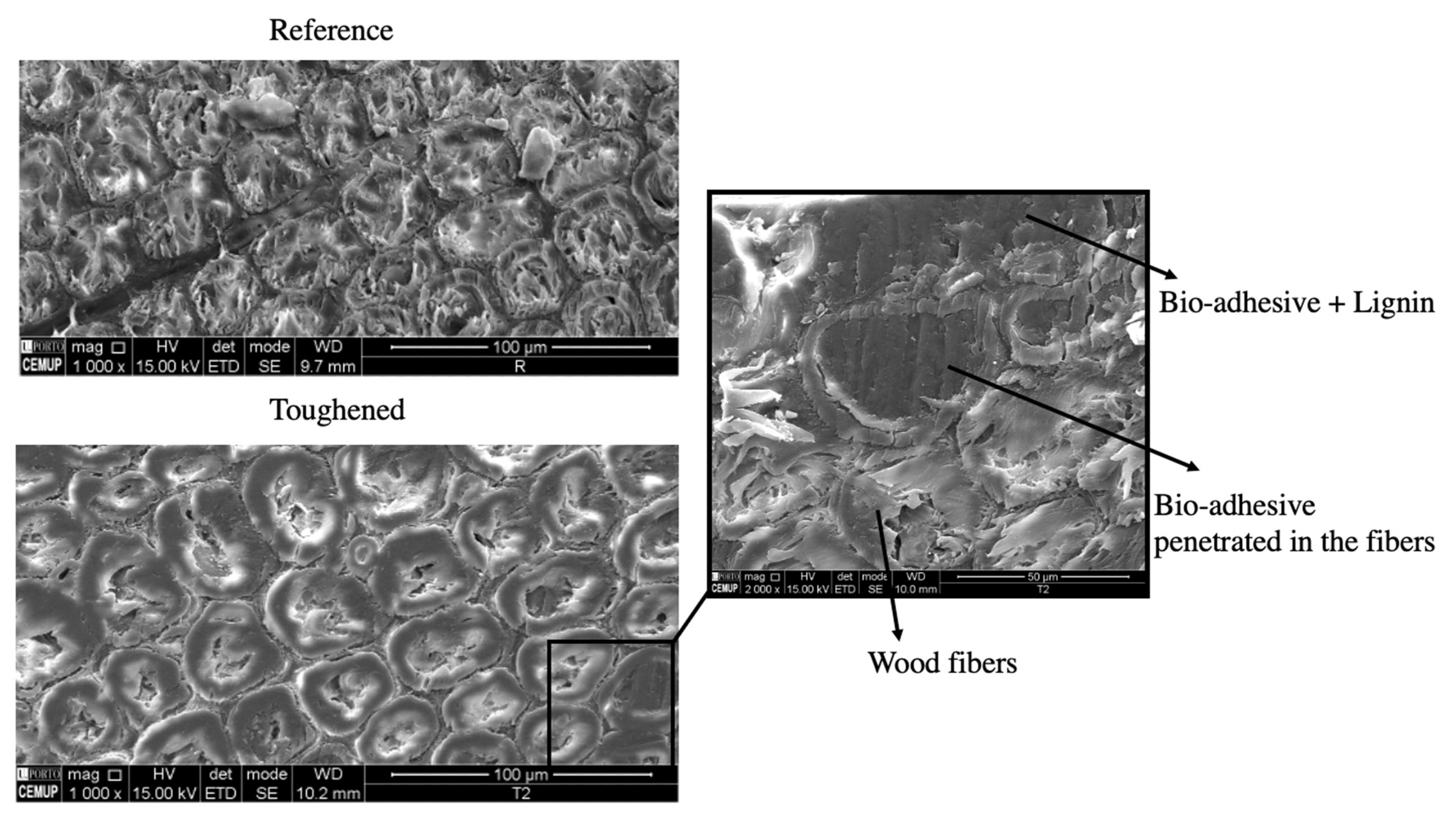Materials 17 00448 g009