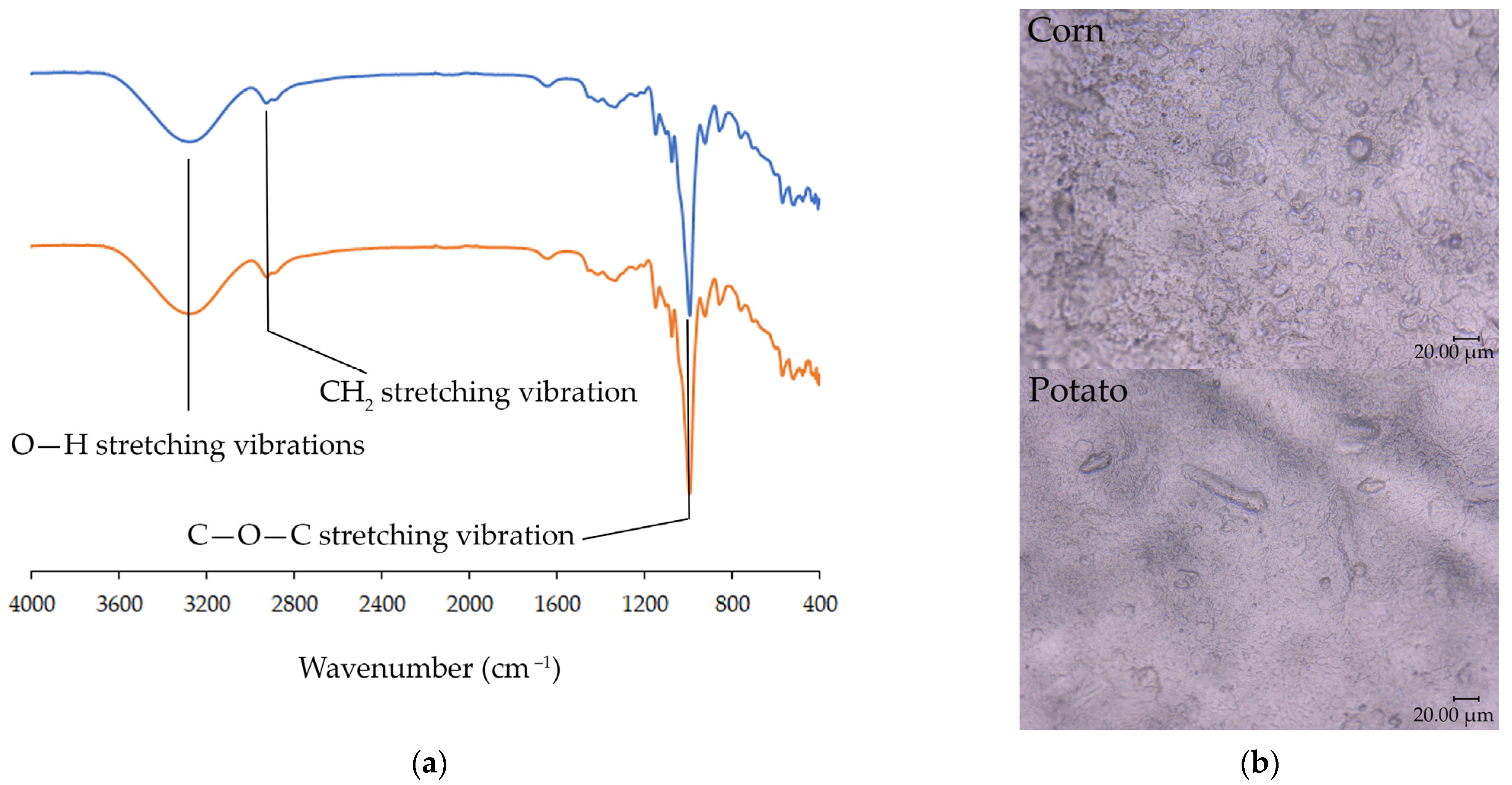 Materials 17 00455 g002