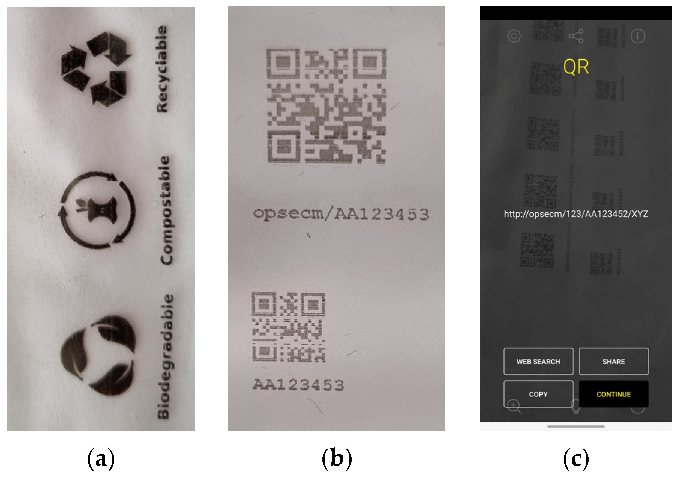Materials 17 00455 g003