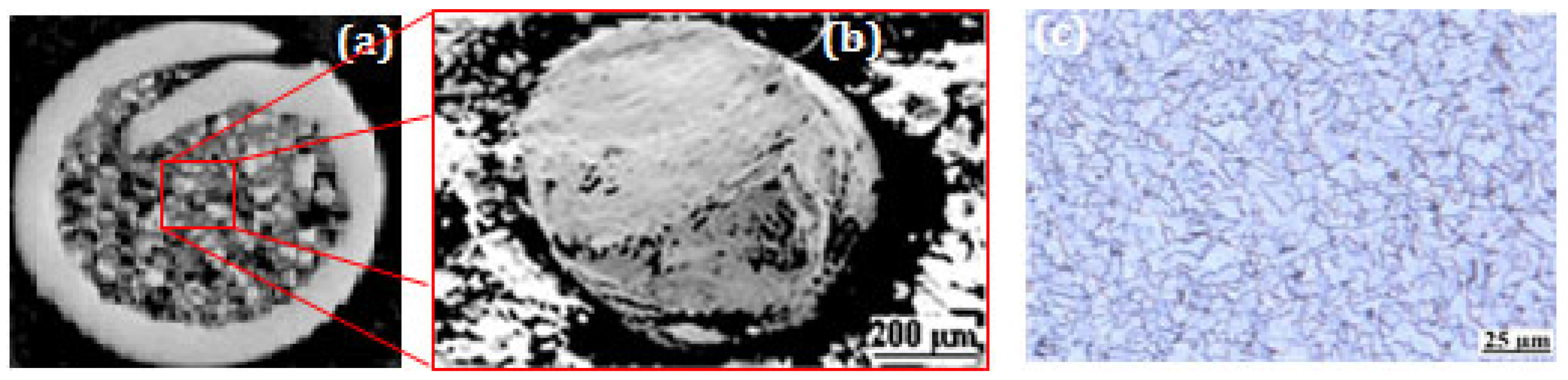 Materials 17 00458 g001