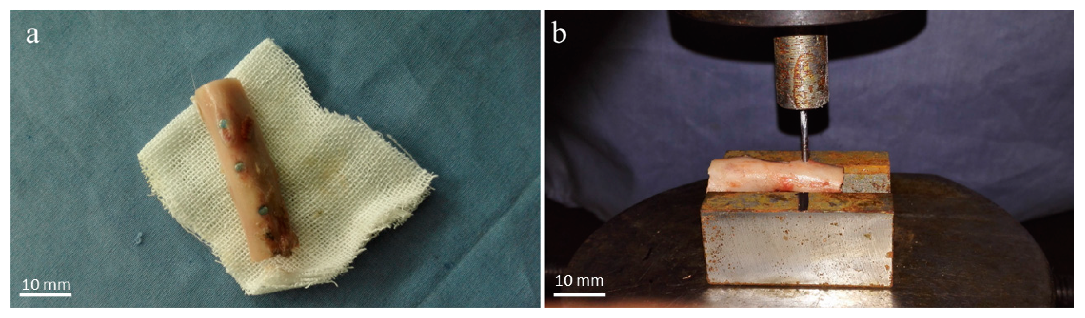 Materials 17 00472 g002