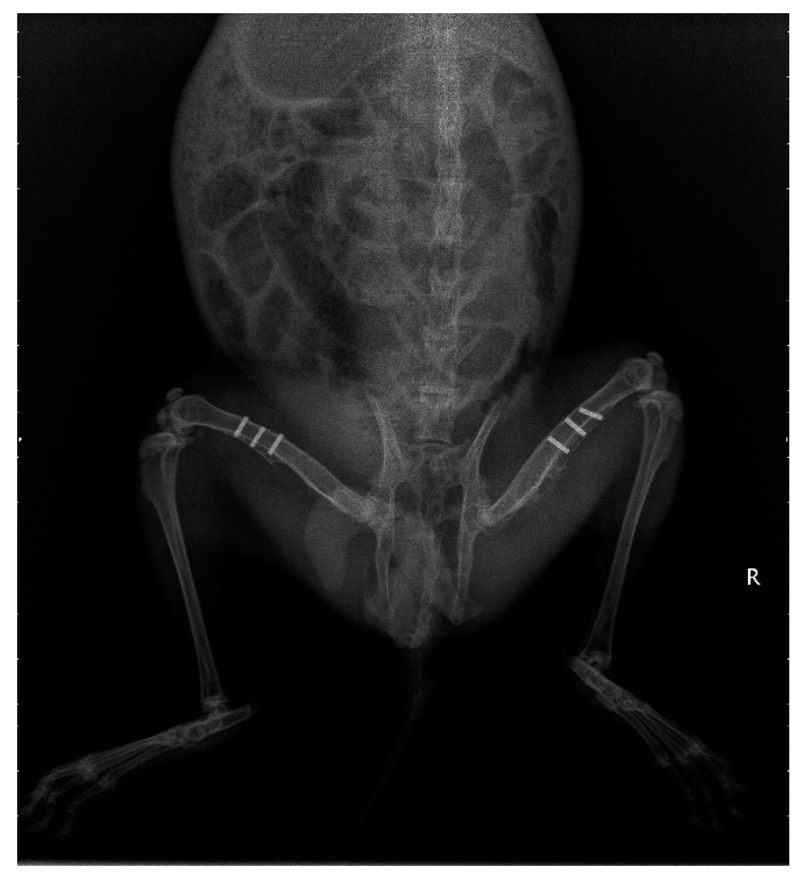 Materials 17 00472 g003