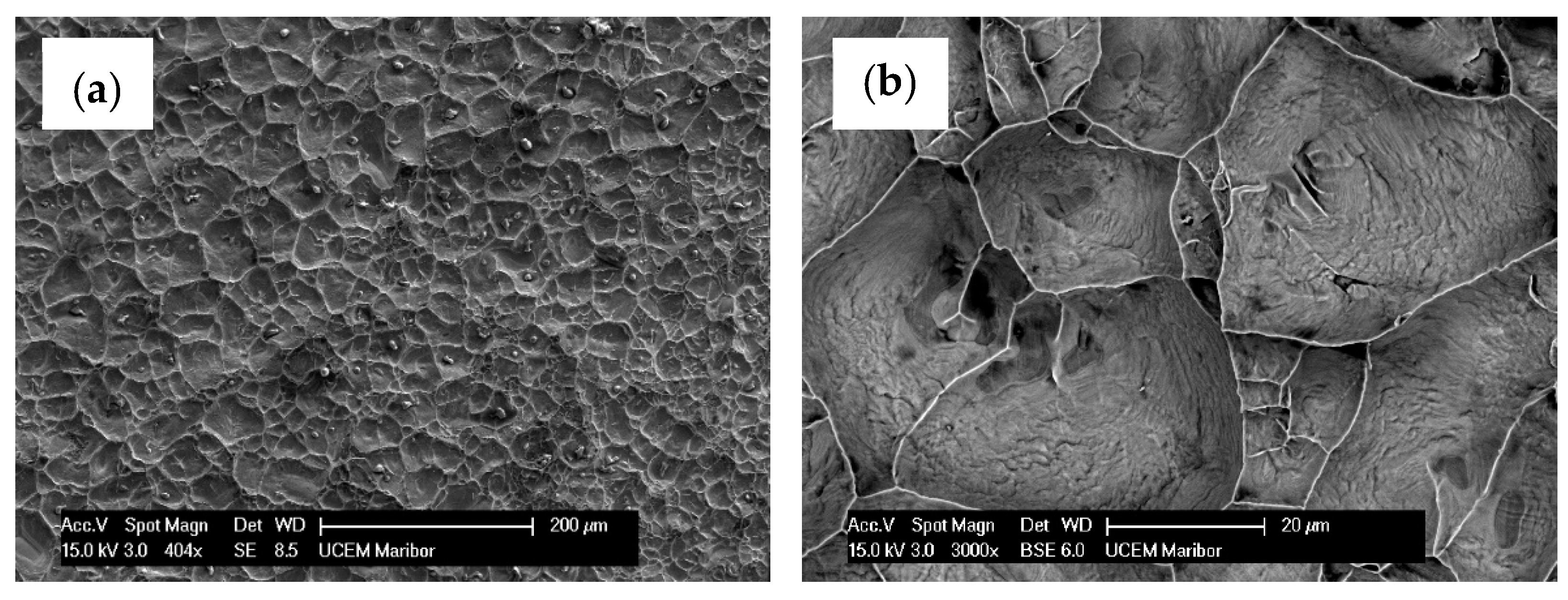 Materials 17 00479 g008