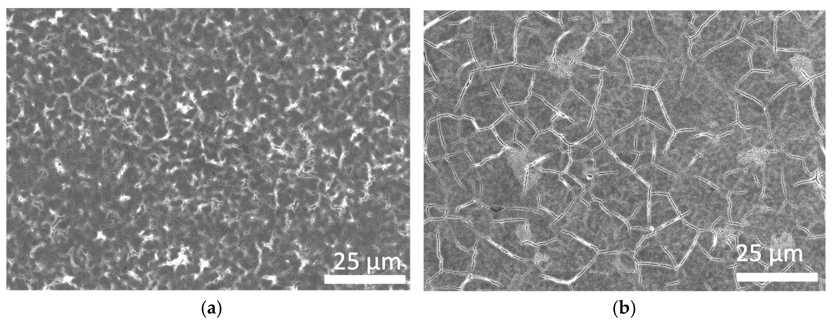 Materials 17 00504 g003