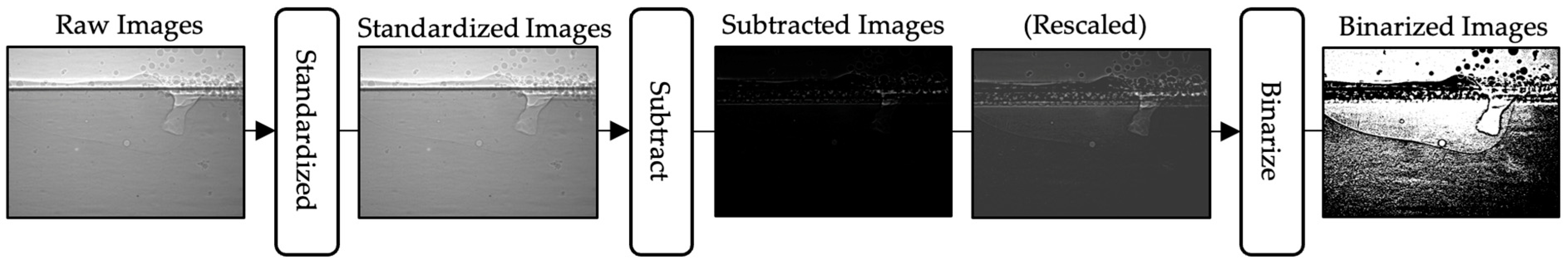 Materials 17 00510 g002