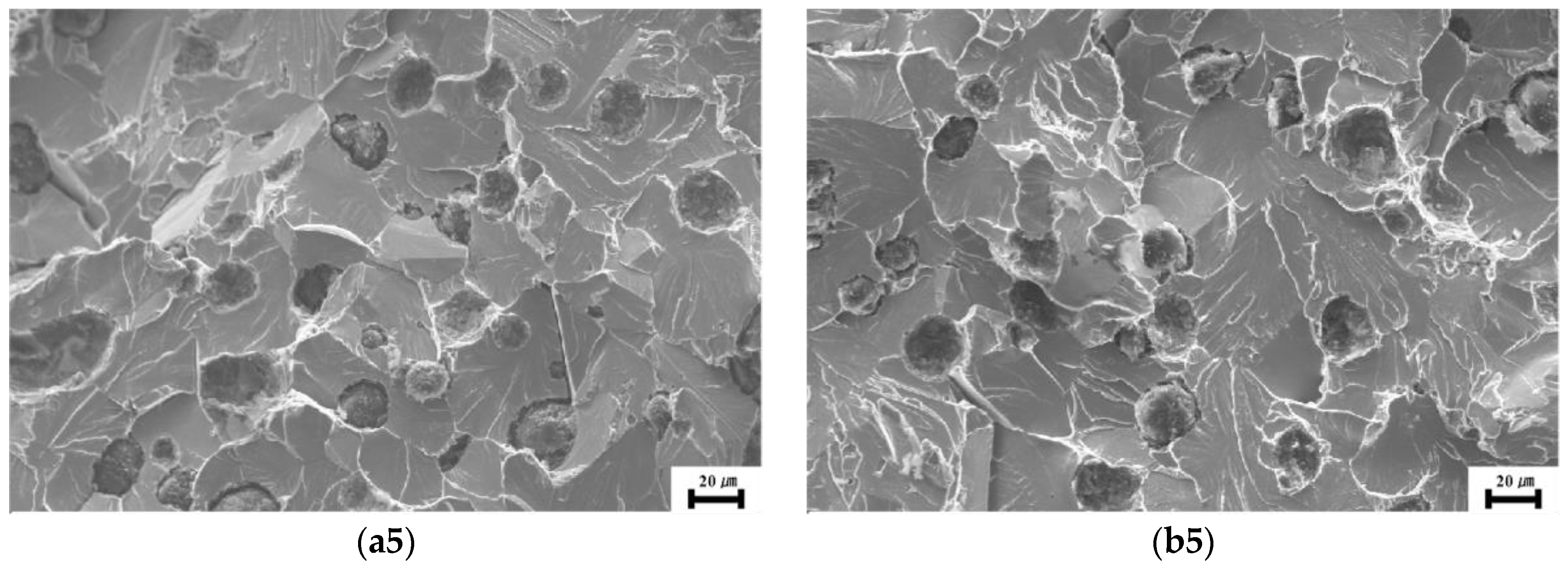 Materials 17 00513 g003b