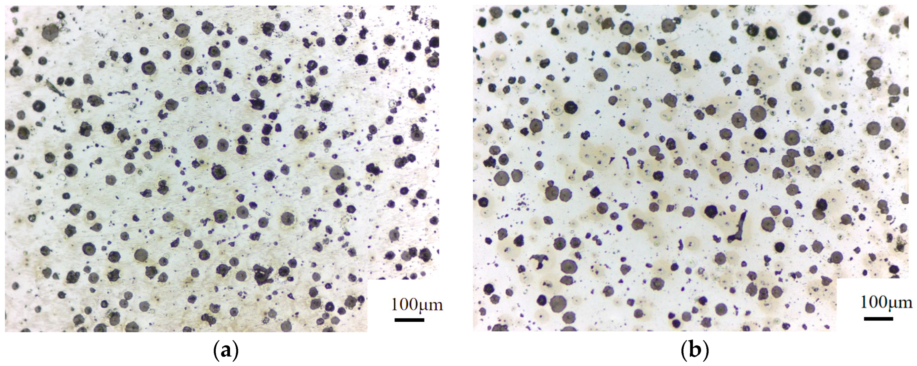 Materials 17 00513 g004