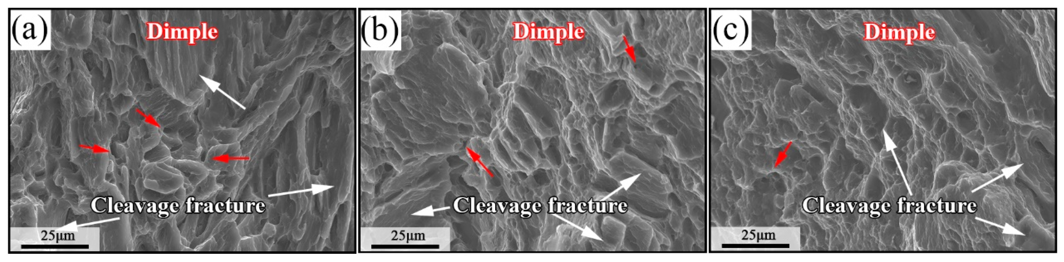 Materials 17 00523 g006