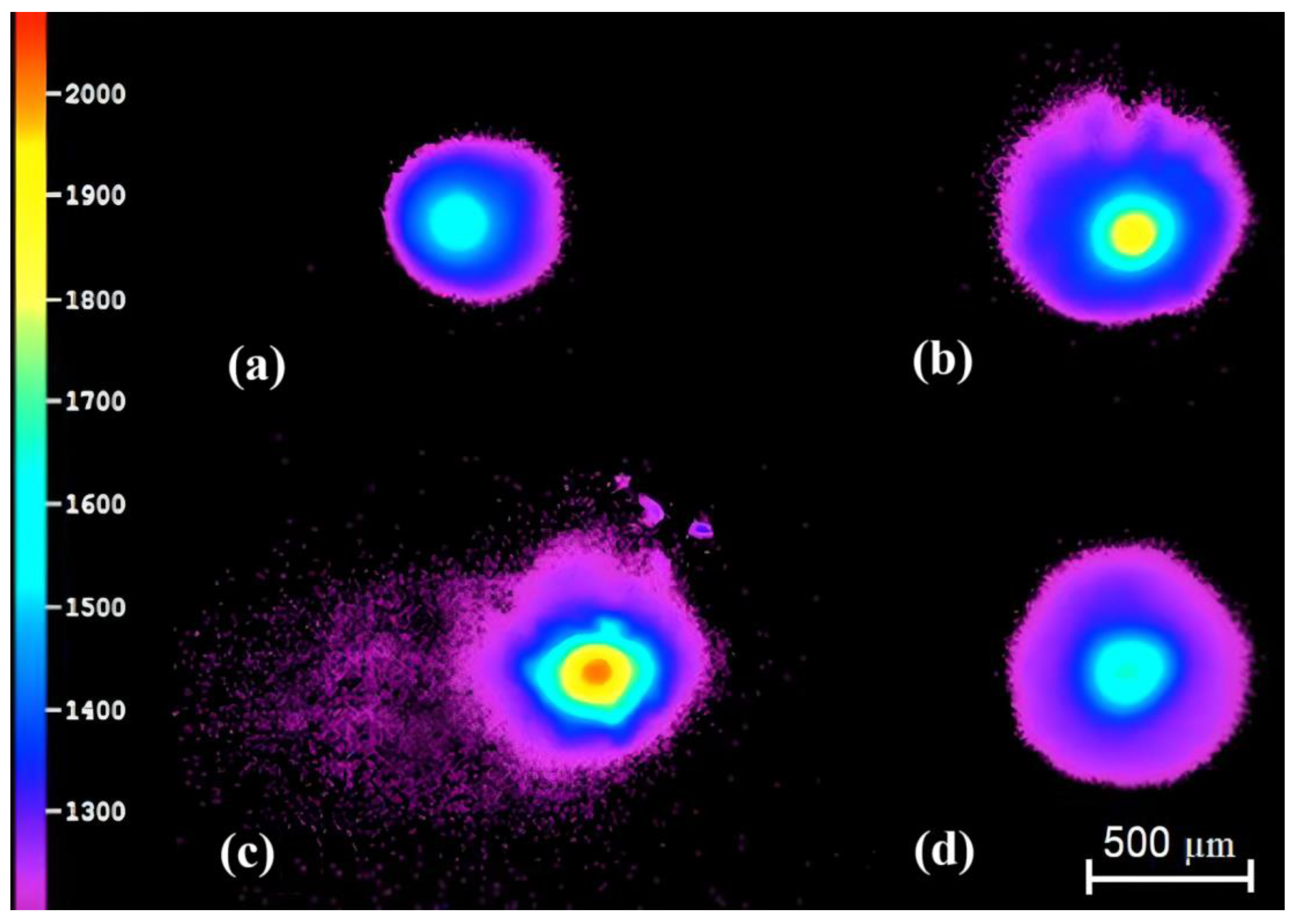 Materials 17 00538 g002