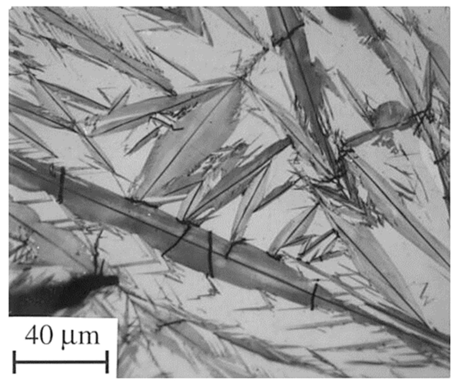 Materials 17 00548 g004