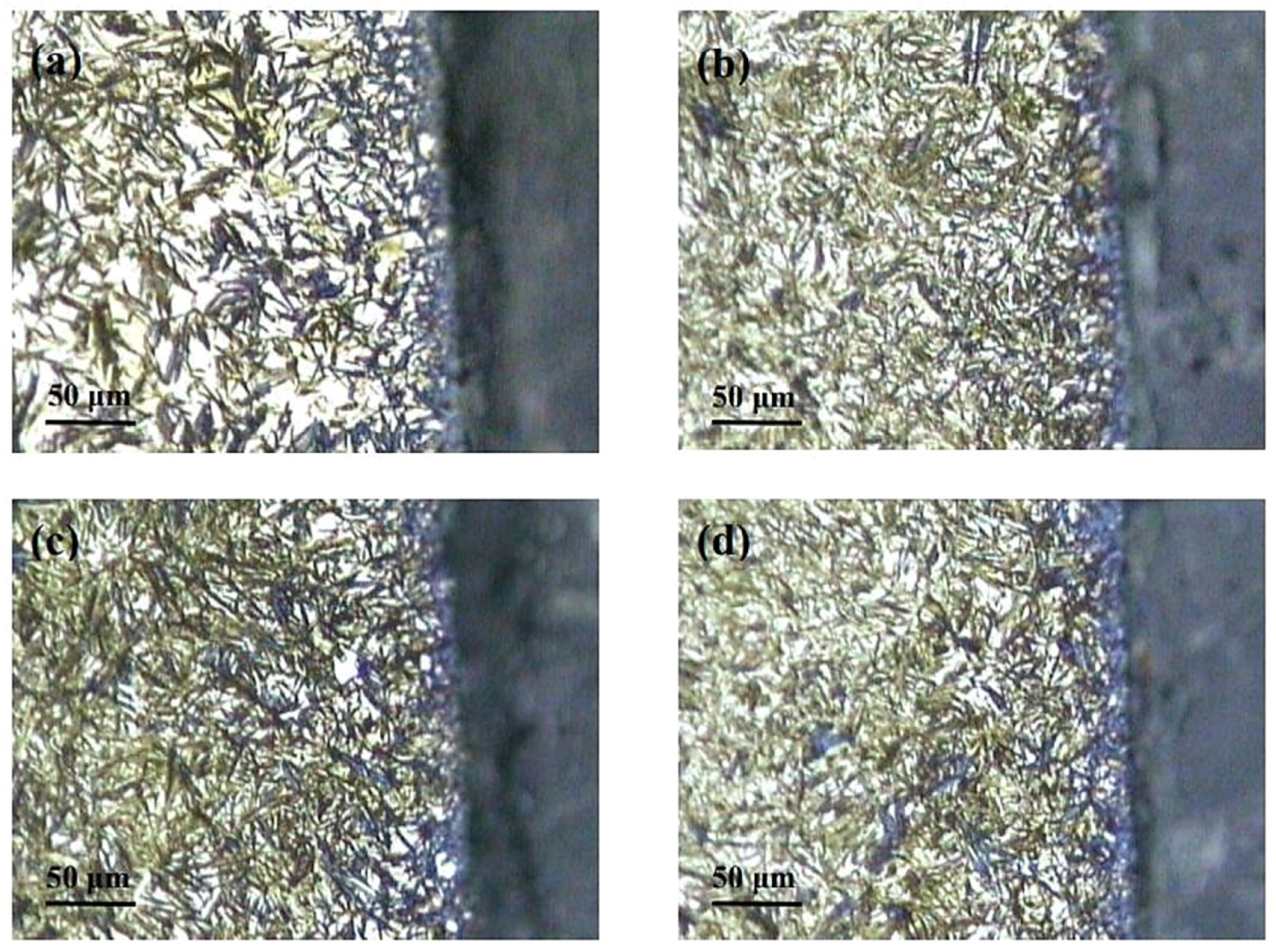 Materials 17 00548 g006