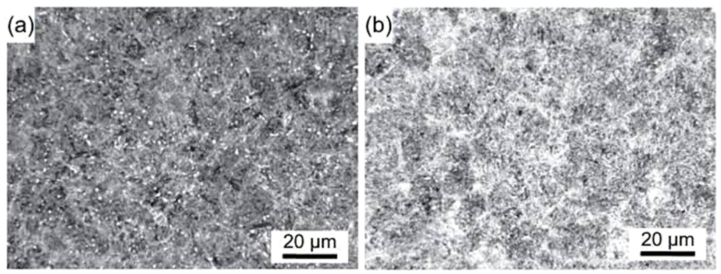 Materials 17 00548 g008