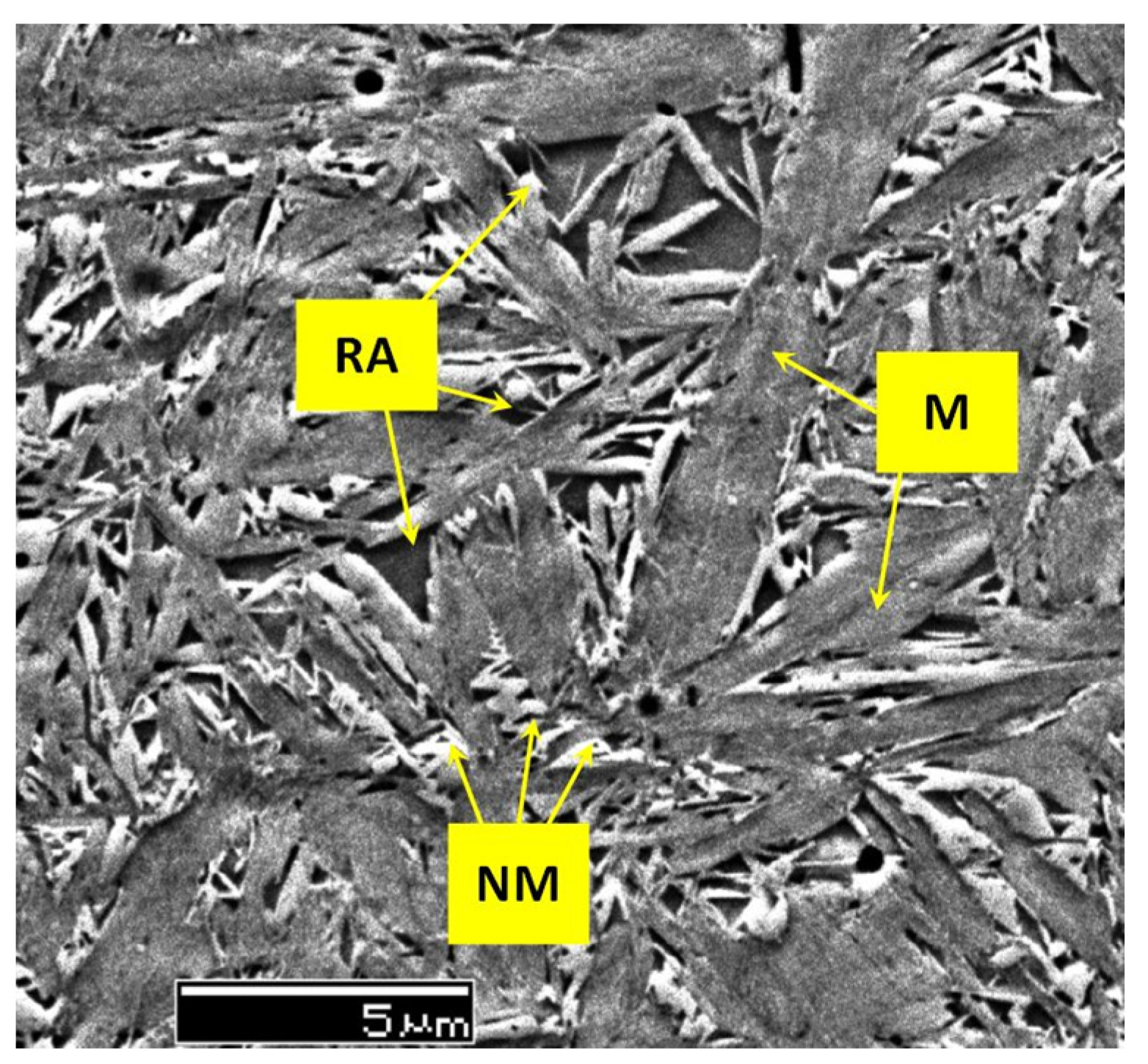 Materials 17 00548 g011