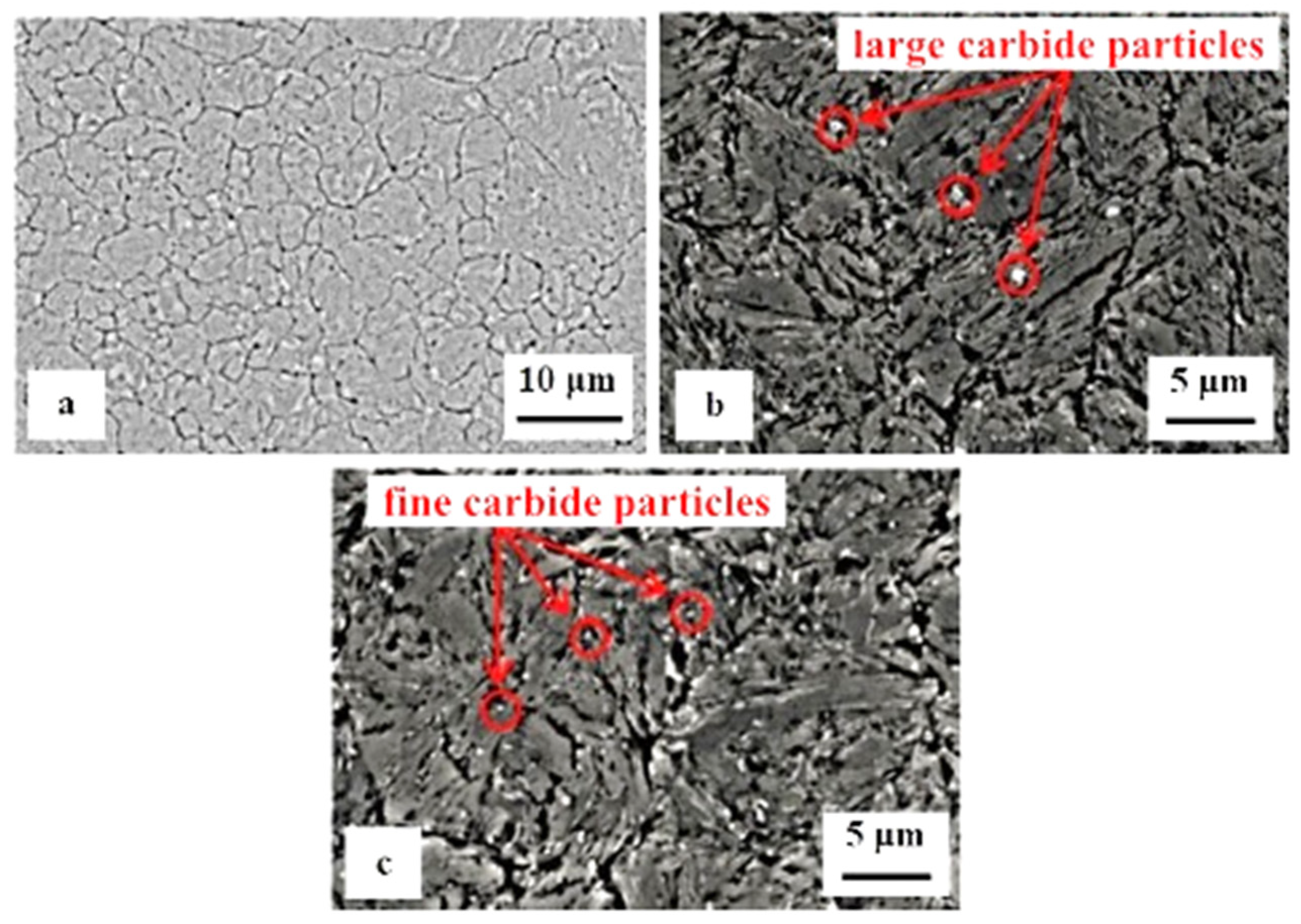 Materials 17 00548 g013