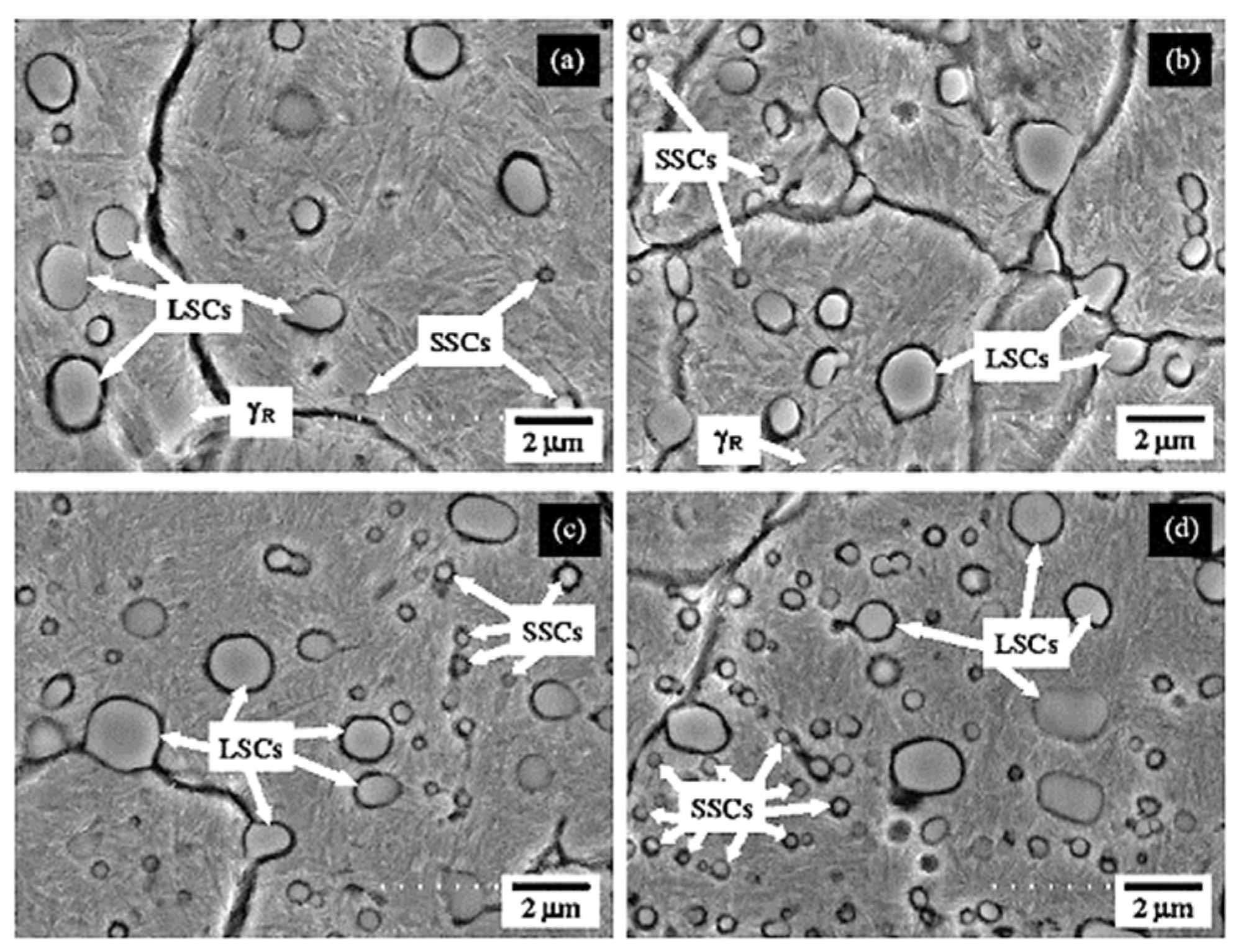 Materials 17 00548 g015