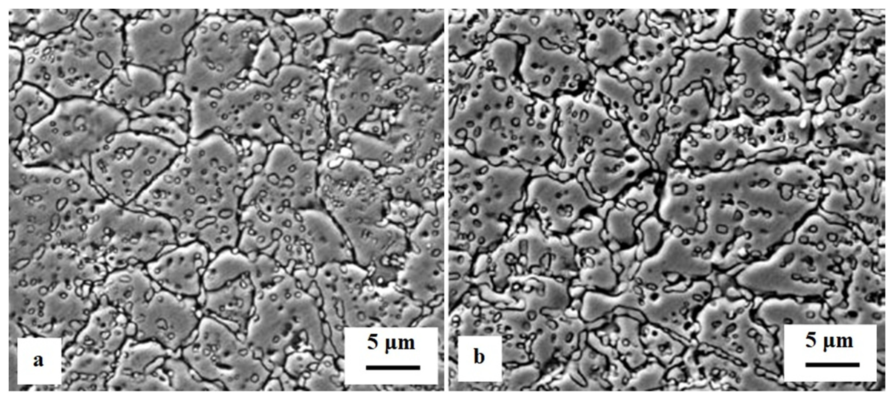 Materials 17 00548 g026