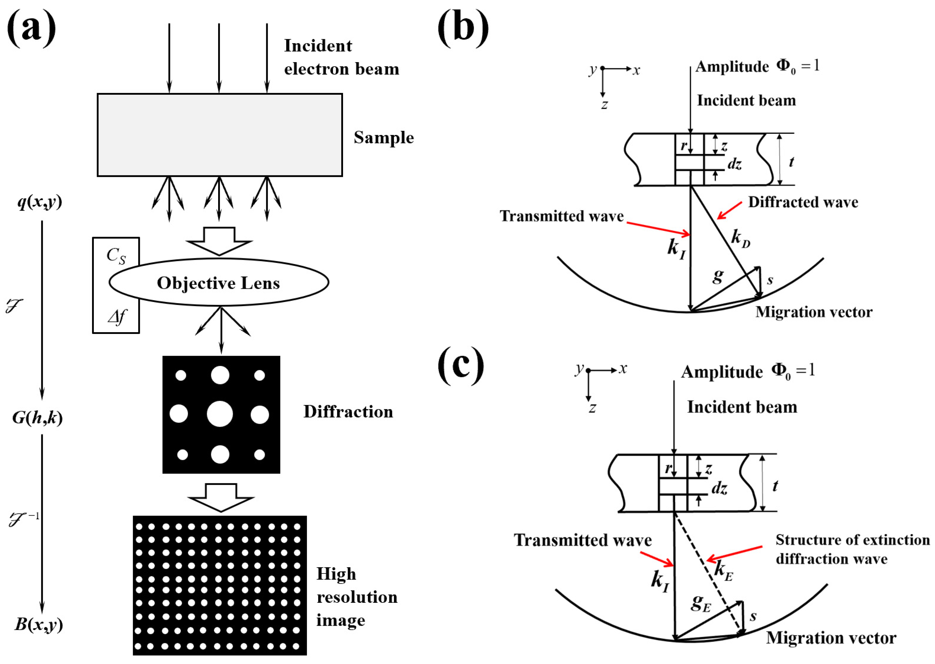 Materials 17 00555 g003