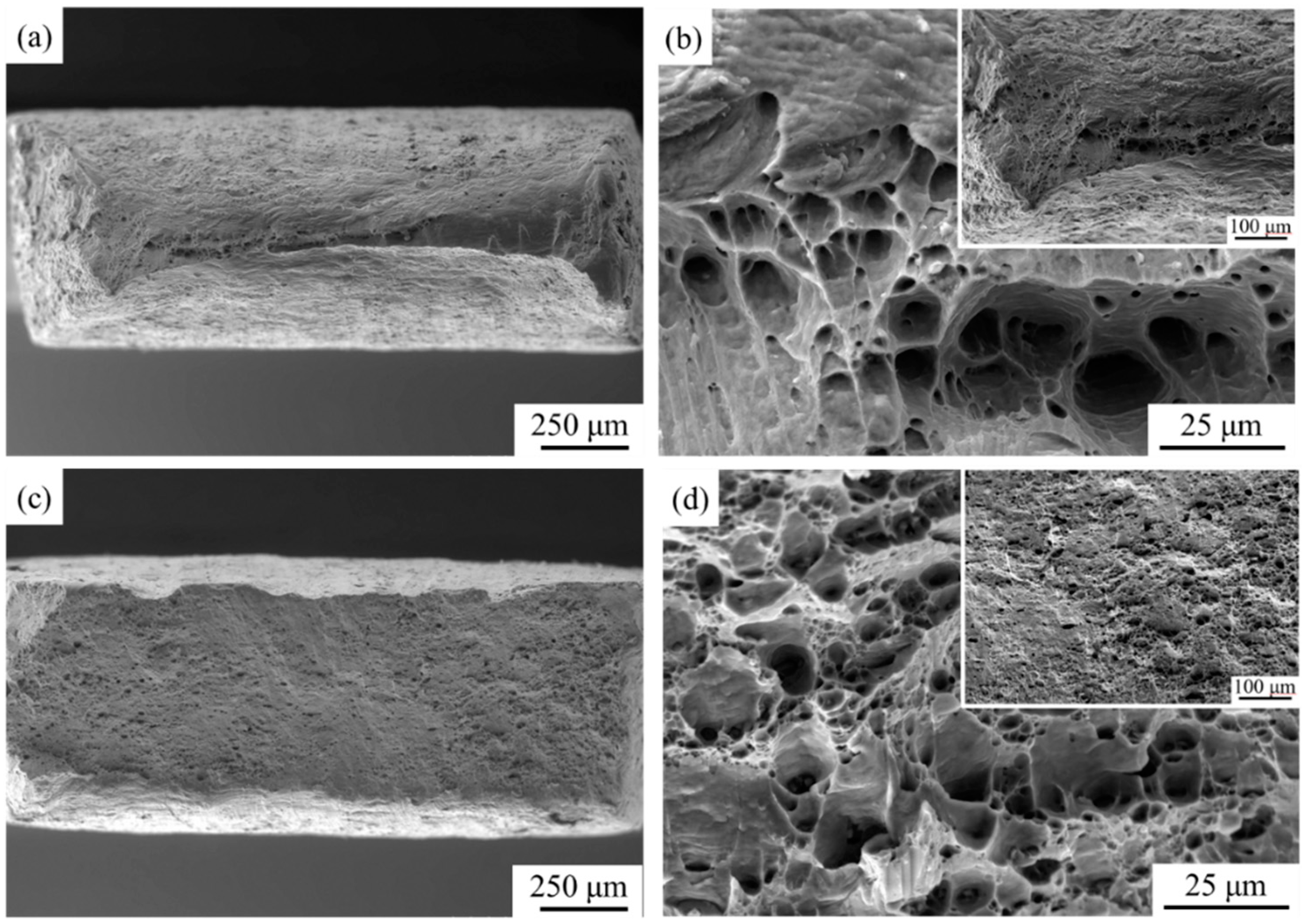 Materials 17 00577 g008