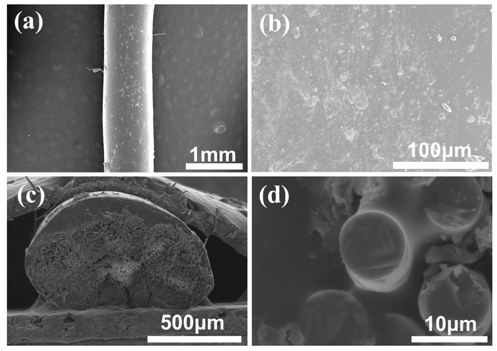 Materials 17 00599 g004