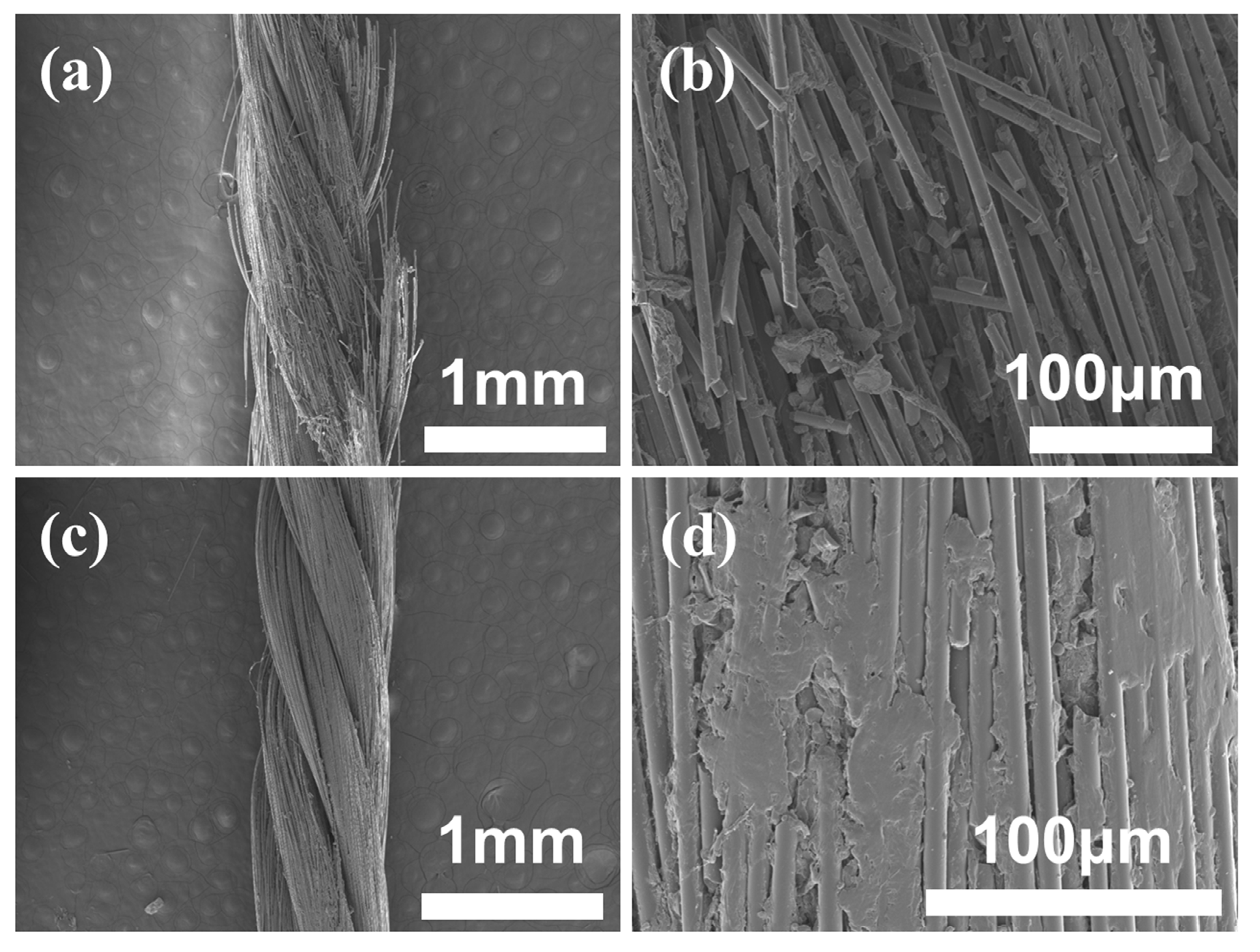 Materials 17 00599 g010