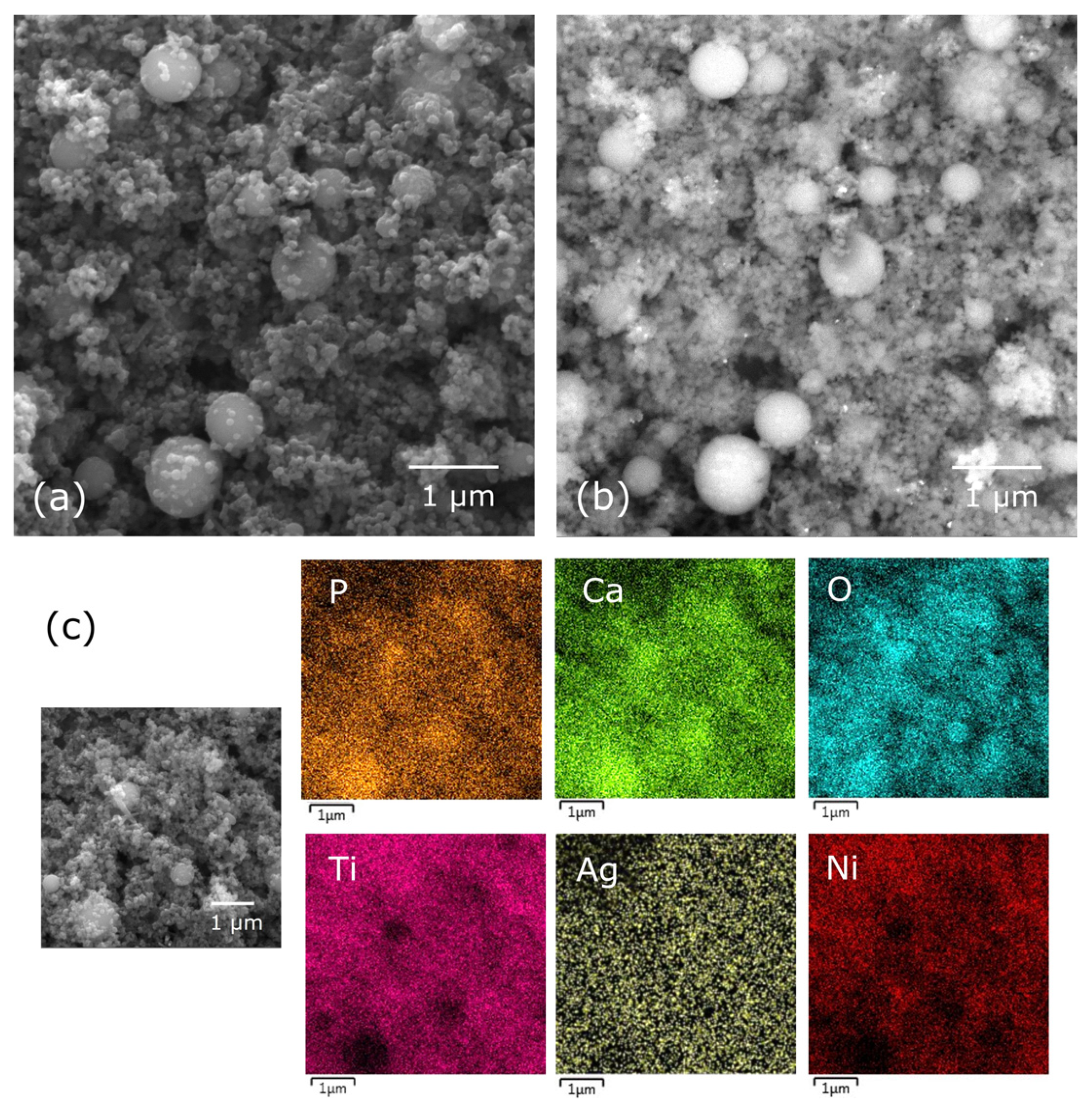 Materials 17 00604 g002