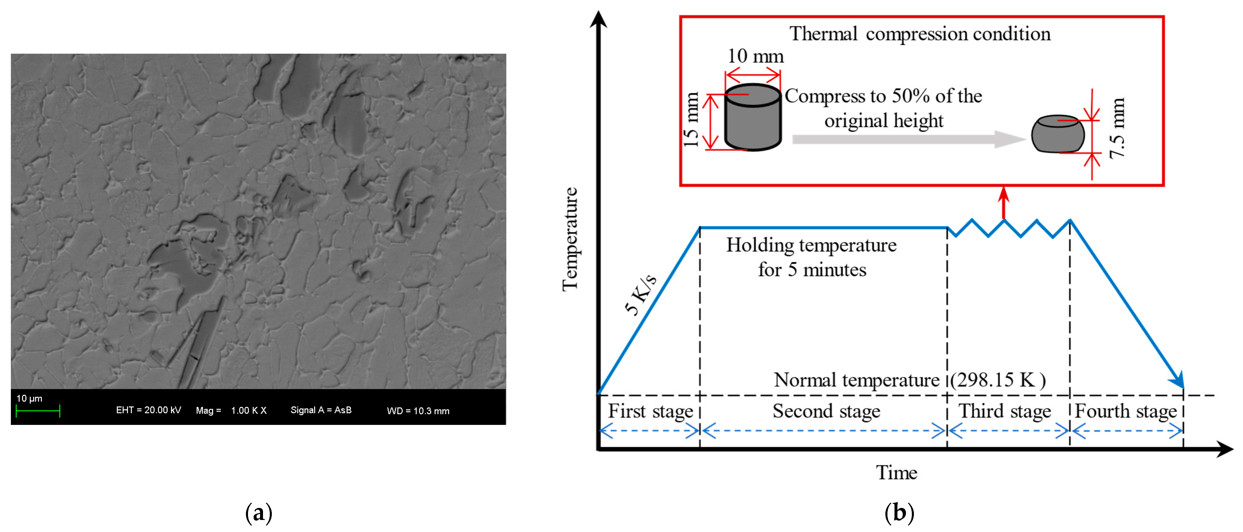 Materials 17 00619 g001
