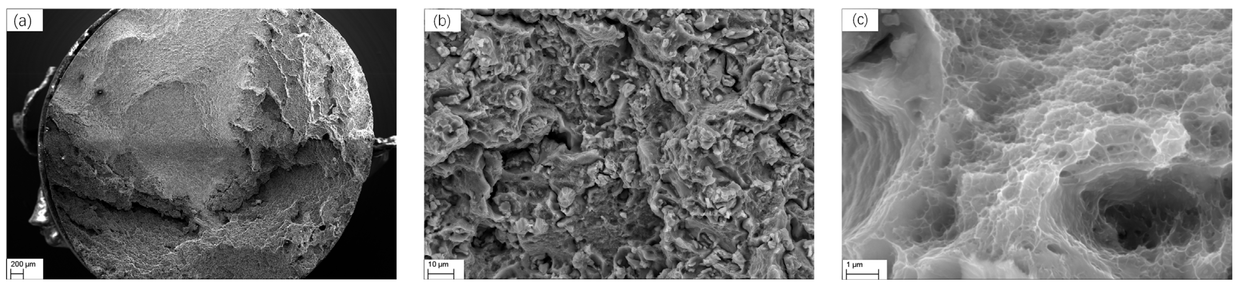 Materials 17 00628 g002