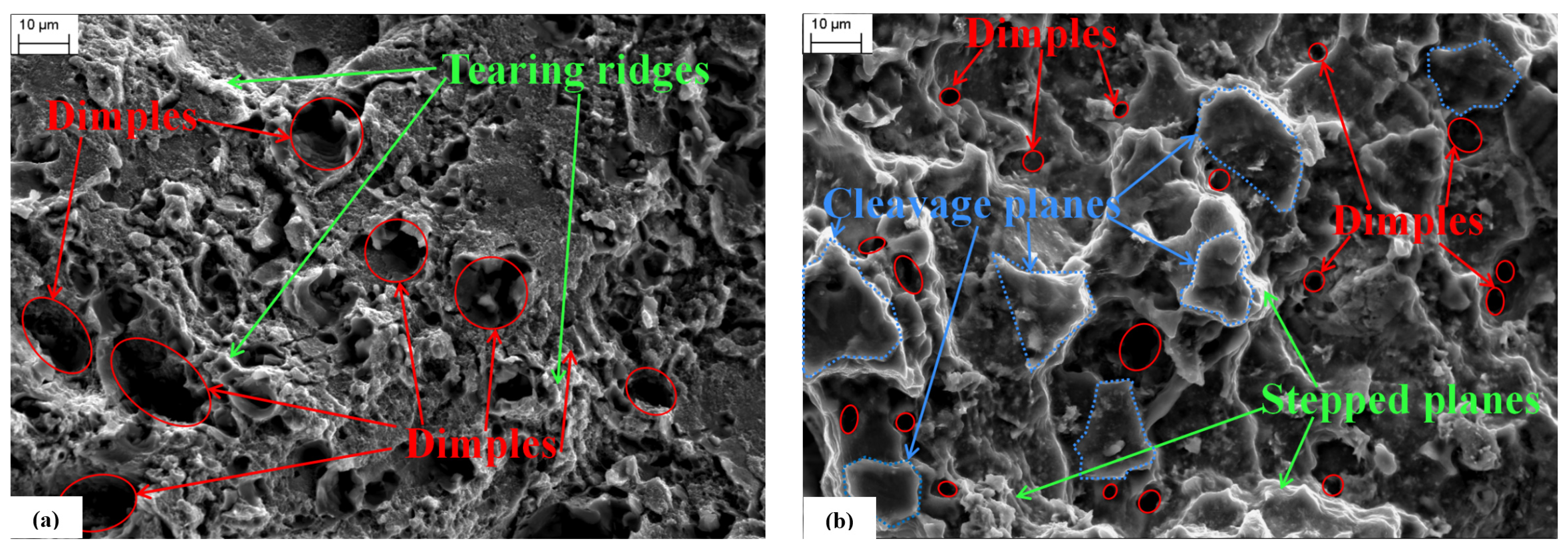 Materials 17 00628 g004