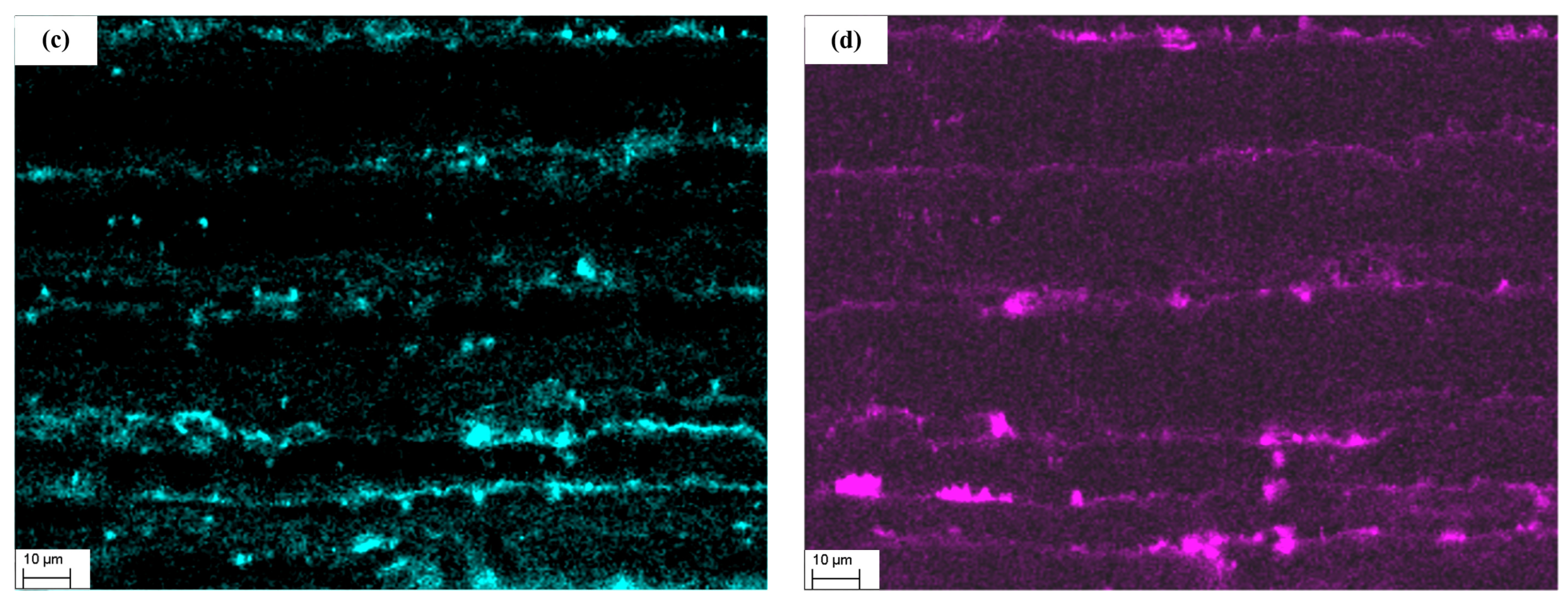 Materials 17 00628 g006b
