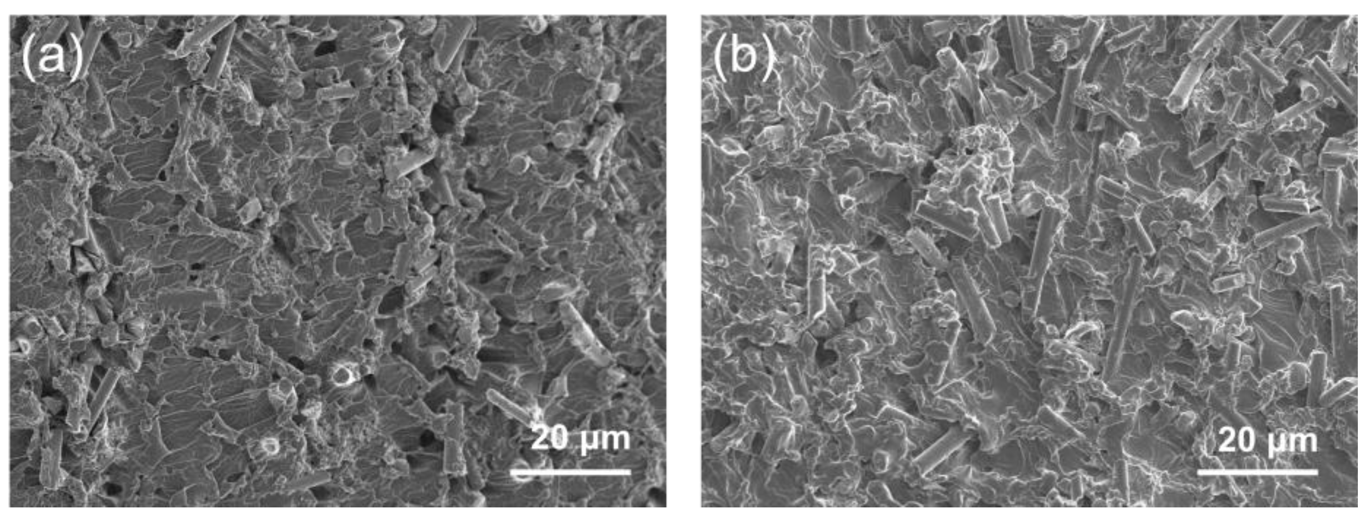 Materials 17 00649 g005