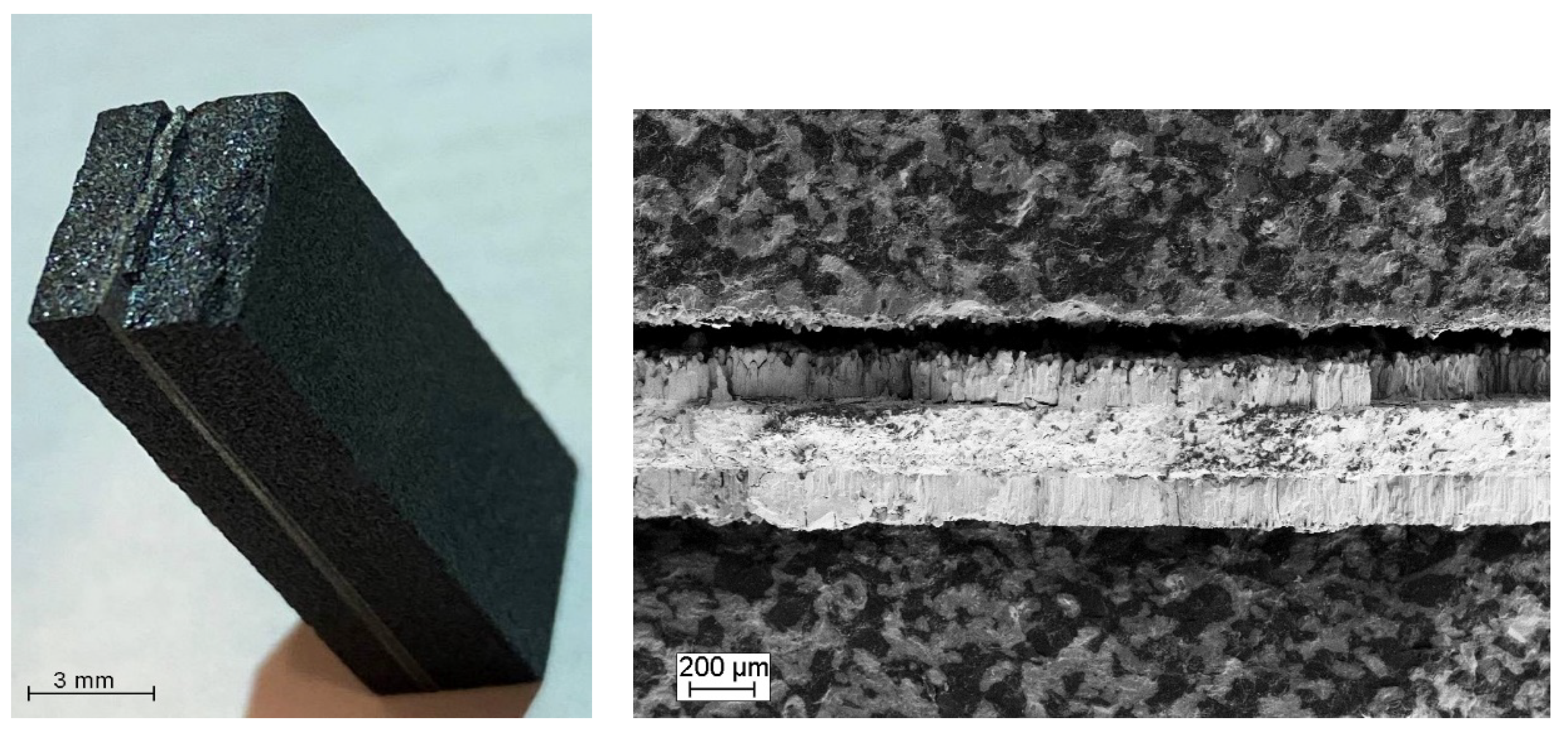 Materials 17 00650 g006